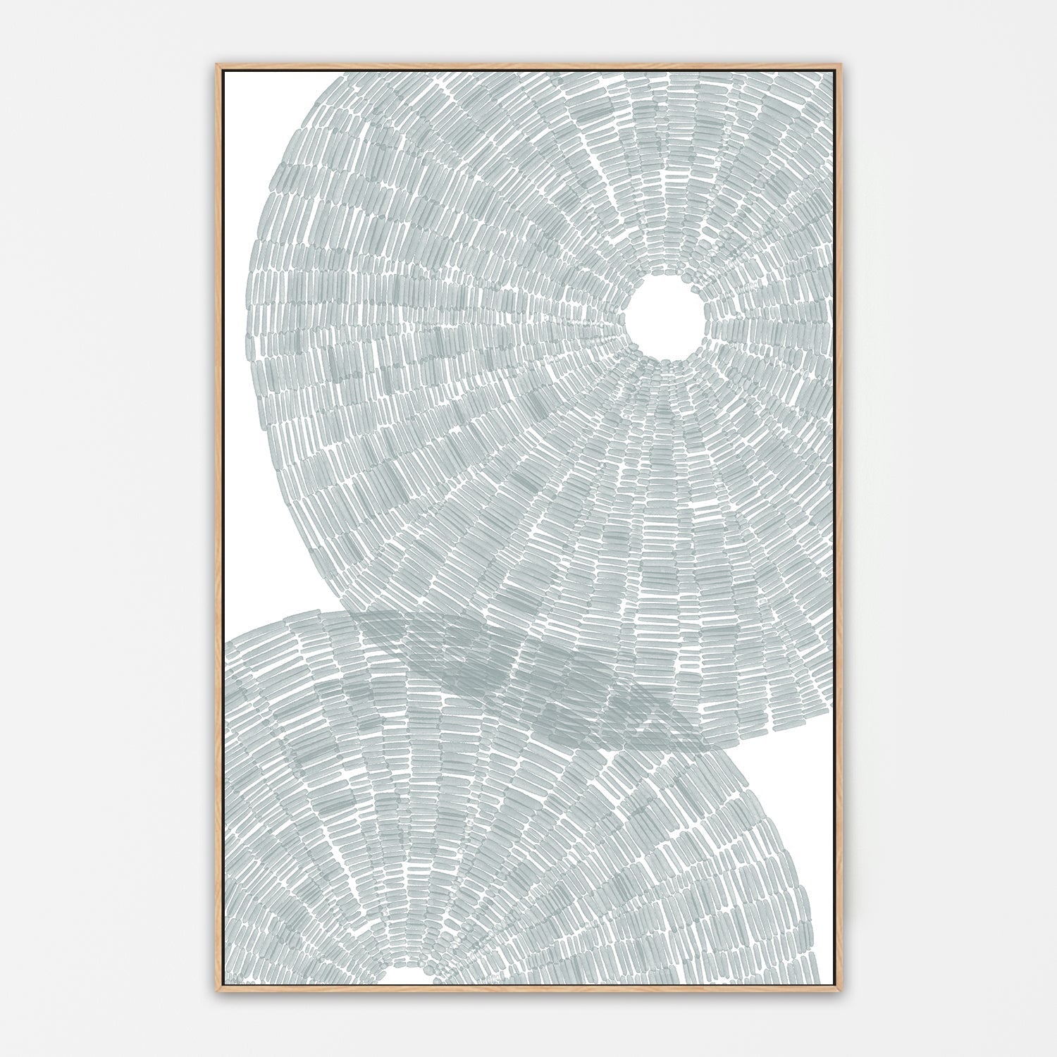 wall-art-print-canvas-poster-framed-Salty Sea Urchin Shell , By Jetty Home , By Jetty Home-4