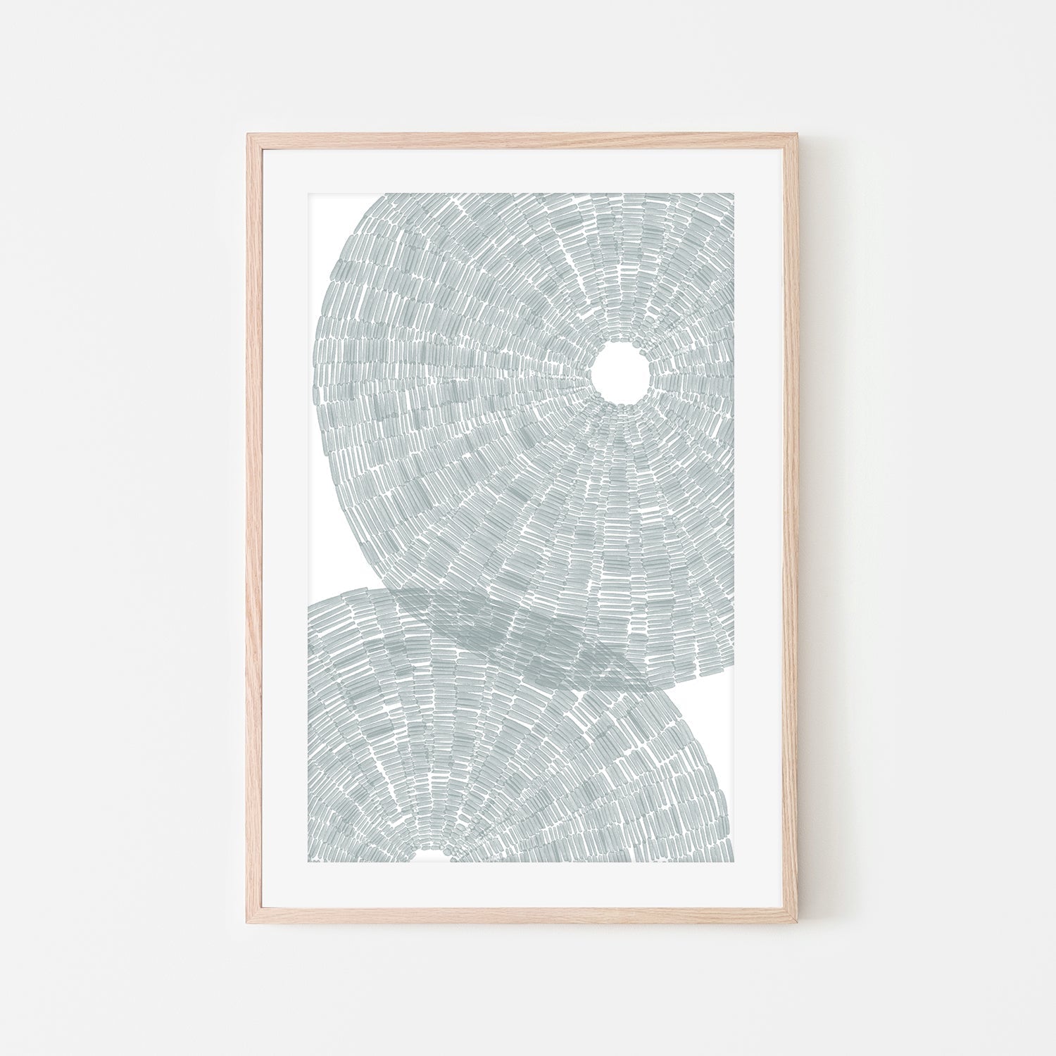 wall-art-print-canvas-poster-framed-Salty Sea Urchin Shell , By Jetty Home , By Jetty Home-6