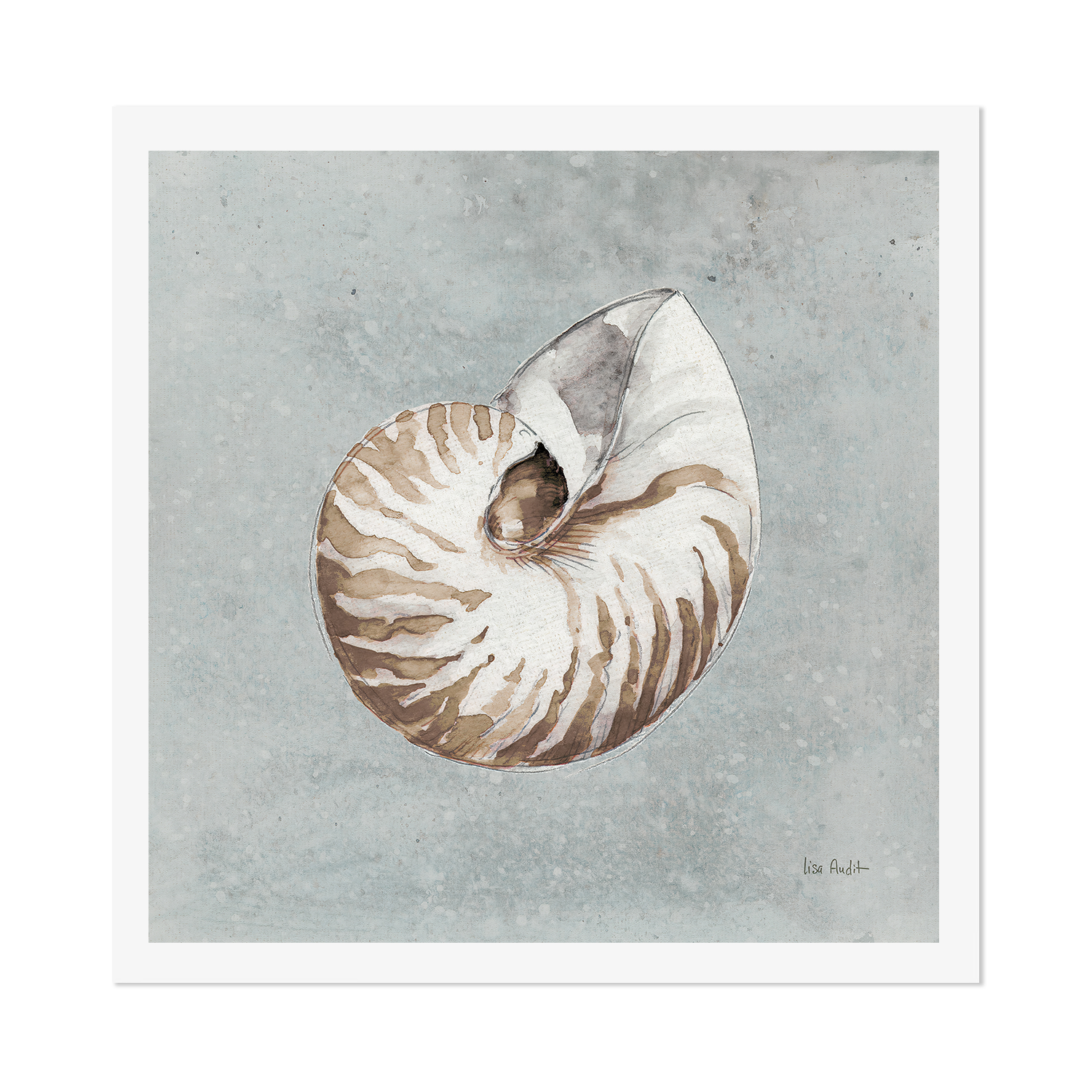 wall-art-print-canvas-poster-framed-Sand And Seashells, Style A , By Lisa Audit-GIOIA-WALL-ART