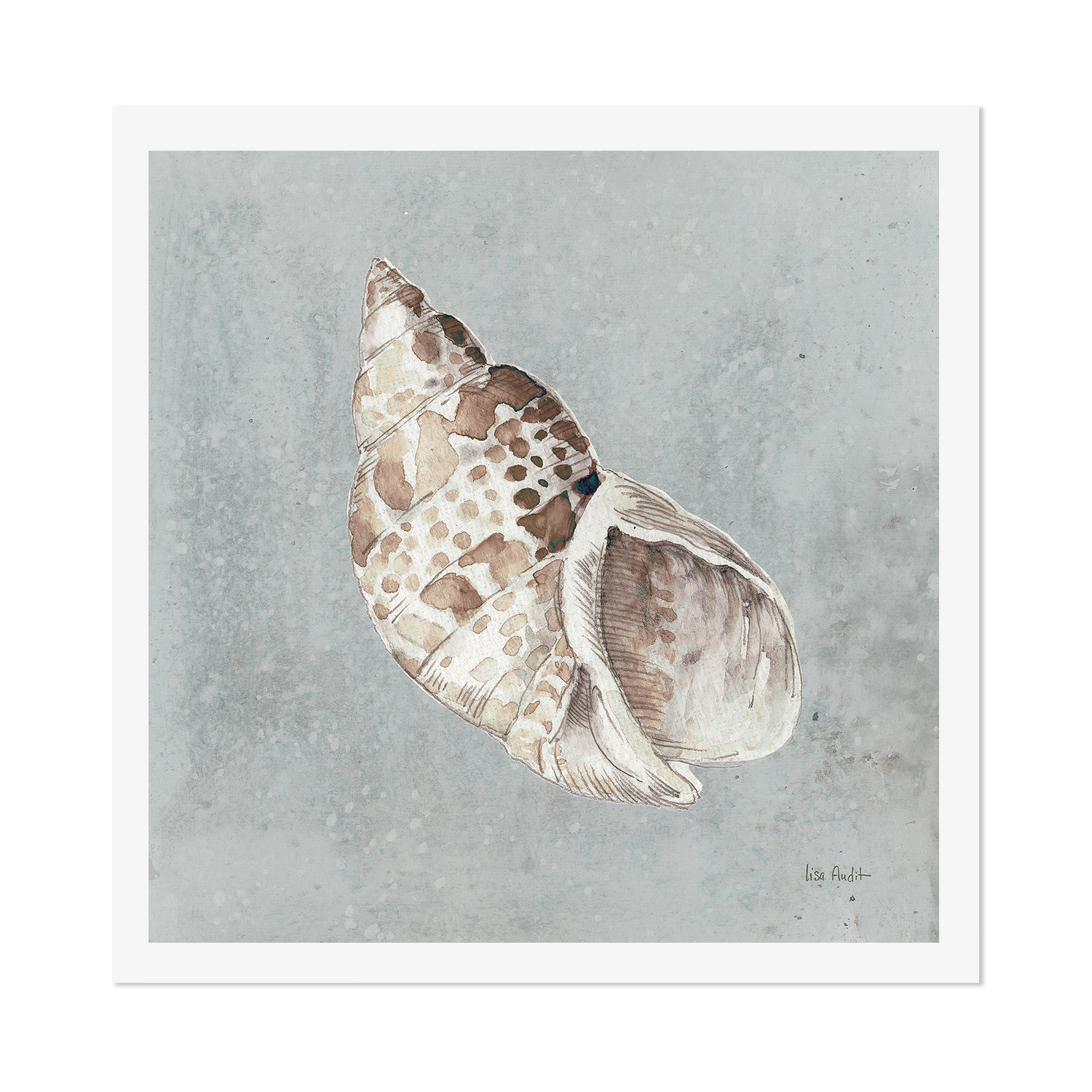 wall-art-print-canvas-poster-framed-Sand And Seashells, Style B , By Lisa Audit-GIOIA-WALL-ART