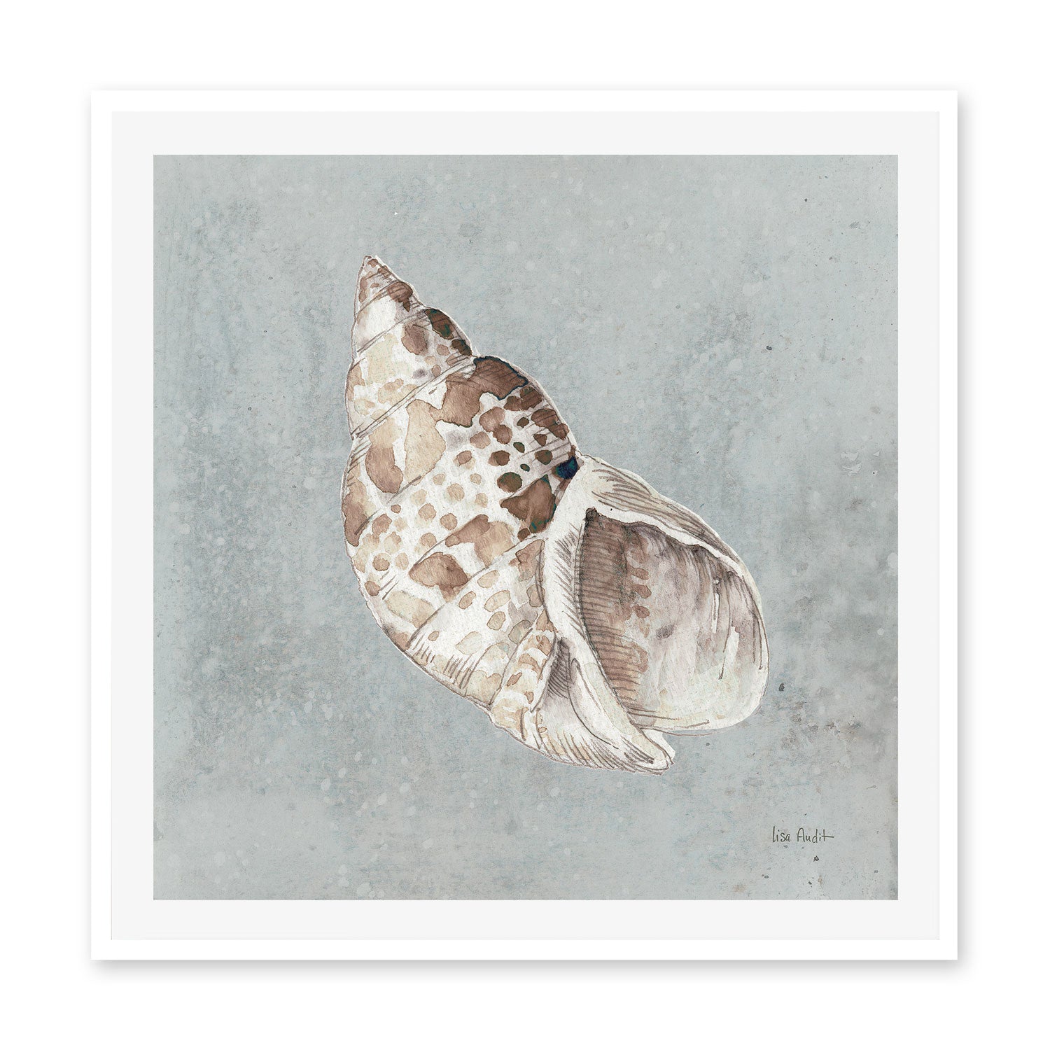 wall-art-print-canvas-poster-framed-Sand And Seashells, Style B , By Lisa Audit-GIOIA-WALL-ART