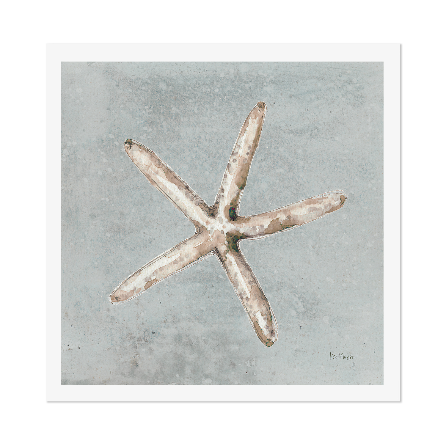 wall-art-print-canvas-poster-framed-Sand And Seashells, Style C , By Lisa Audit-GIOIA-WALL-ART