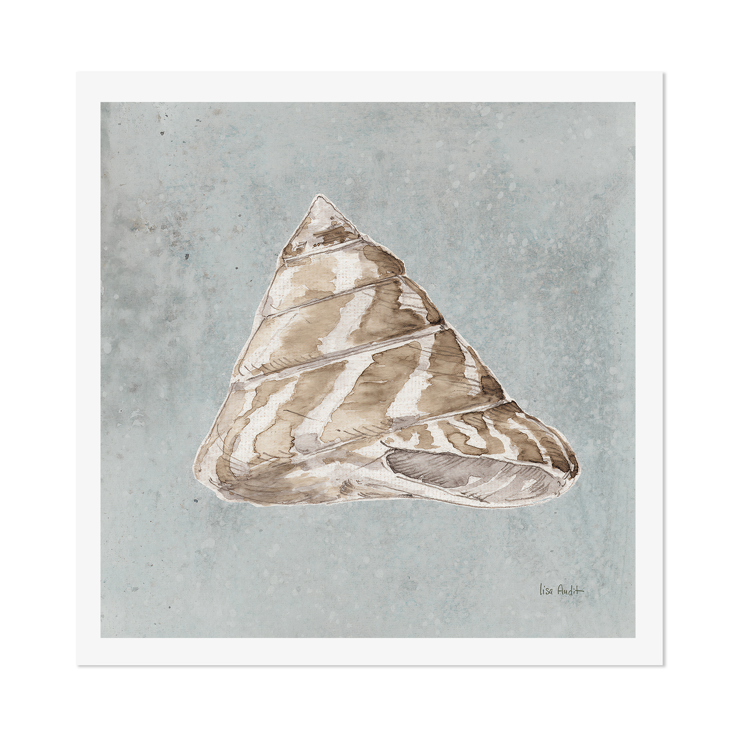 wall-art-print-canvas-poster-framed-Sand And Seashells, Style D , By Lisa Audit-GIOIA-WALL-ART