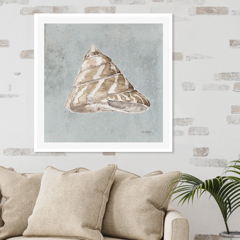wall-art-print-canvas-poster-framed-Sand And Seashells, Style D , By Lisa Audit-GIOIA-WALL-ART