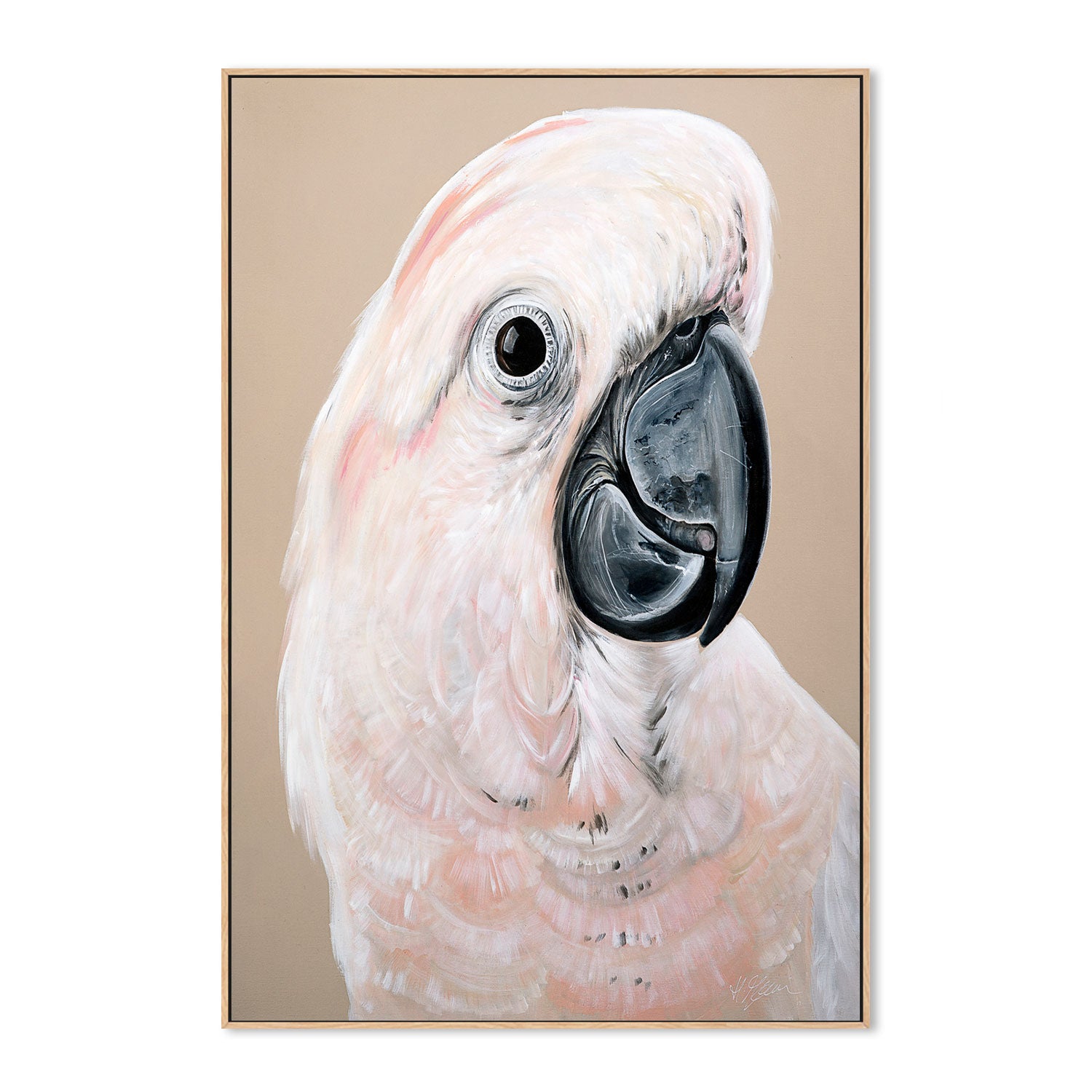 wall-art-print-canvas-poster-framed-Sand Cockatoo , By Heylie Morris-GIOIA-WALL-ART