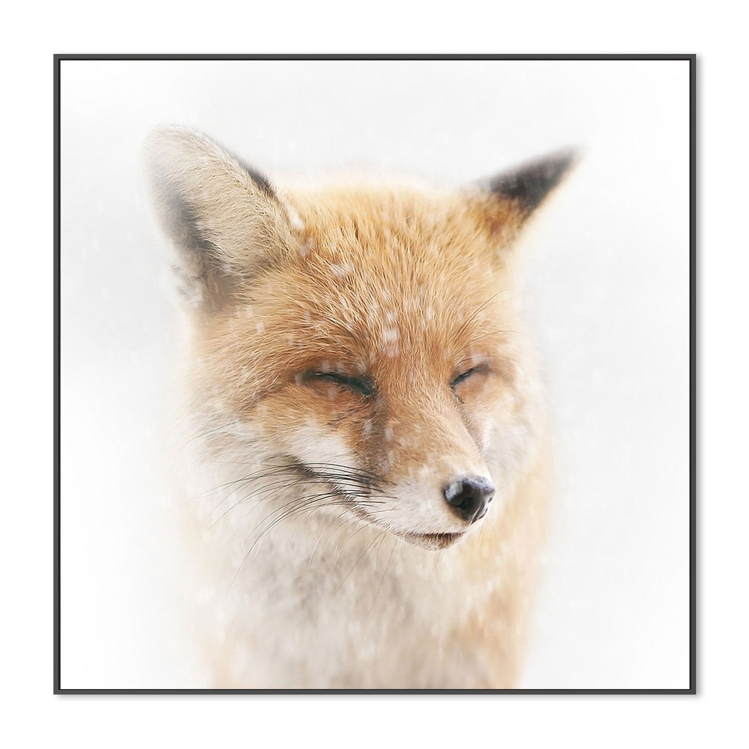 wall-art-print-canvas-poster-framed-Satisfied, by Doris Reindl-by-Plus X Studio-Gioia Wall Art
