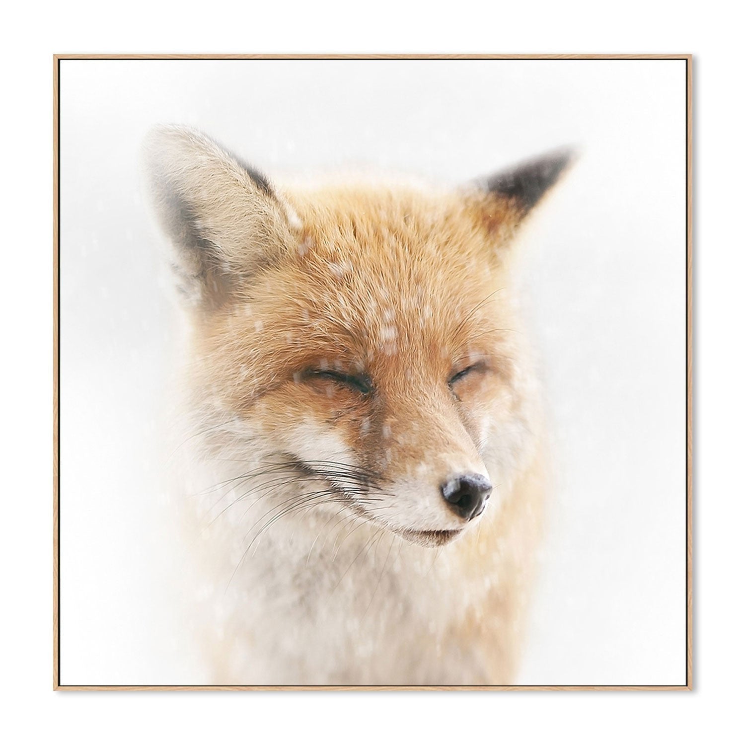 wall-art-print-canvas-poster-framed-Satisfied, by Doris Reindl-by-Plus X Studio-Gioia Wall Art