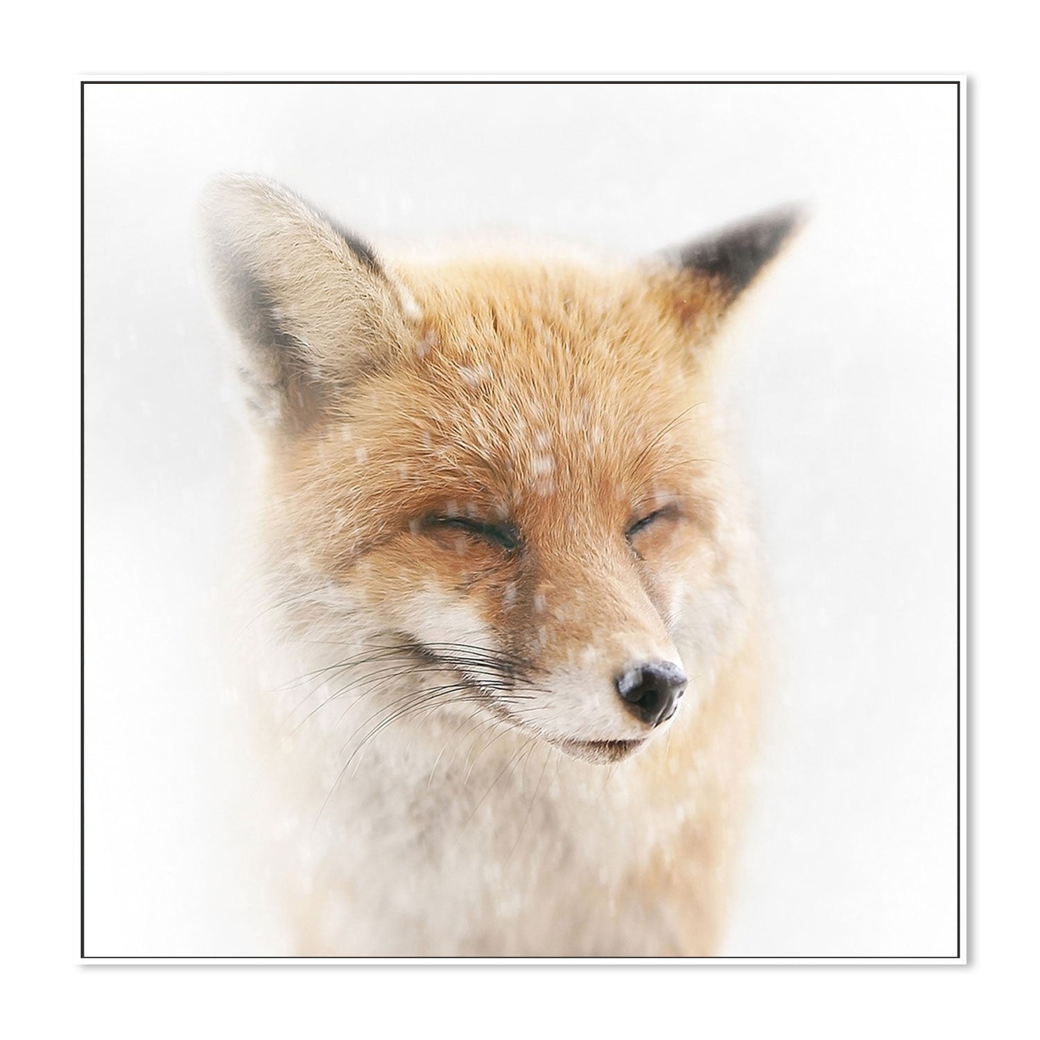 wall-art-print-canvas-poster-framed-Satisfied, by Doris Reindl-by-Plus X Studio-Gioia Wall Art