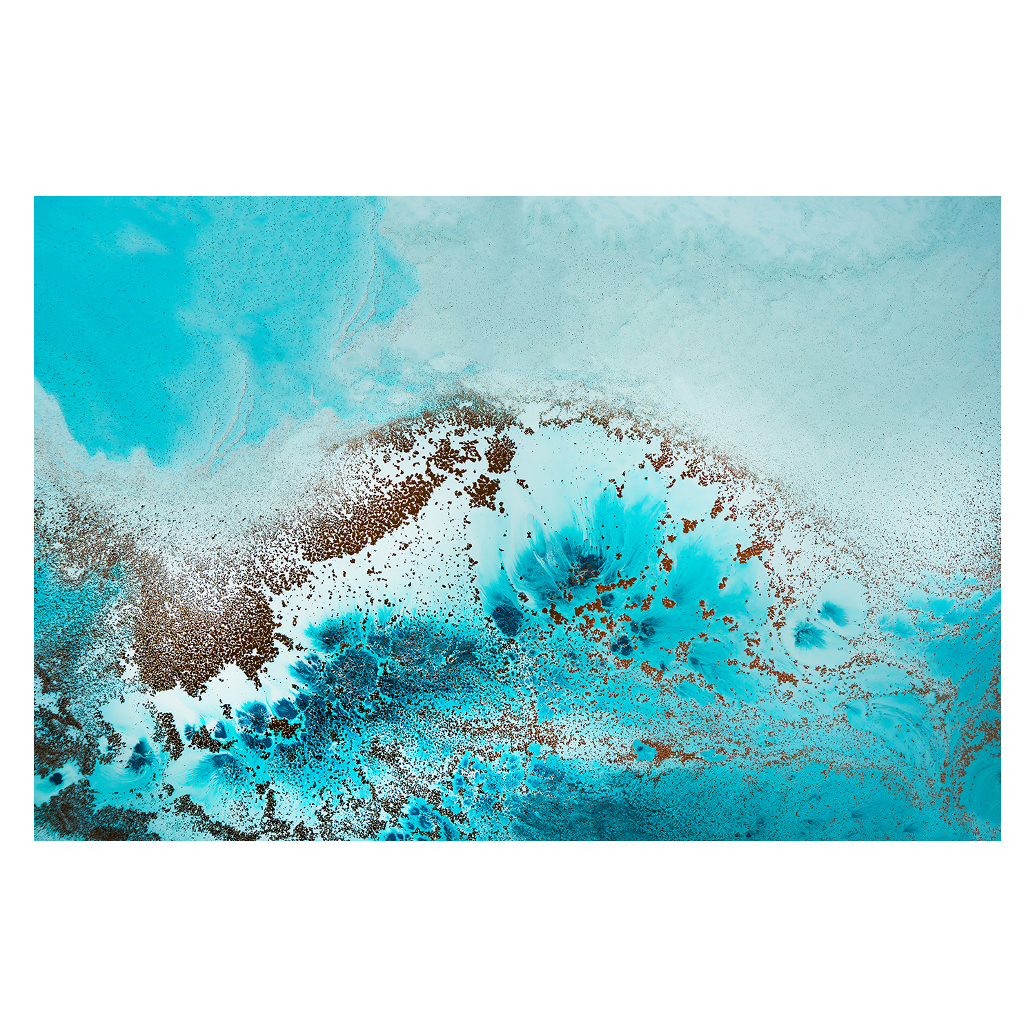 wall-art-print-canvas-poster-framed-Sea life , By Petra Meikle-1