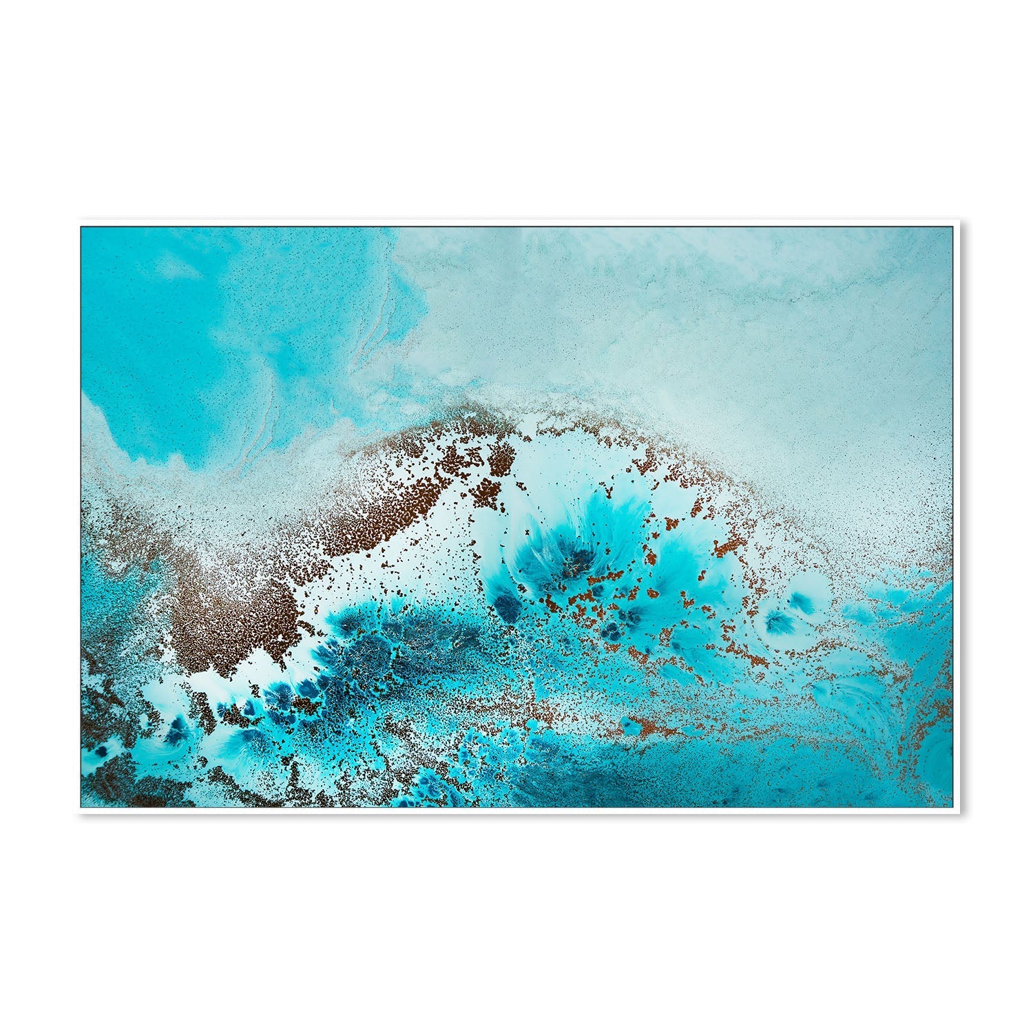 wall-art-print-canvas-poster-framed-Sea life , By Petra Meikle-5