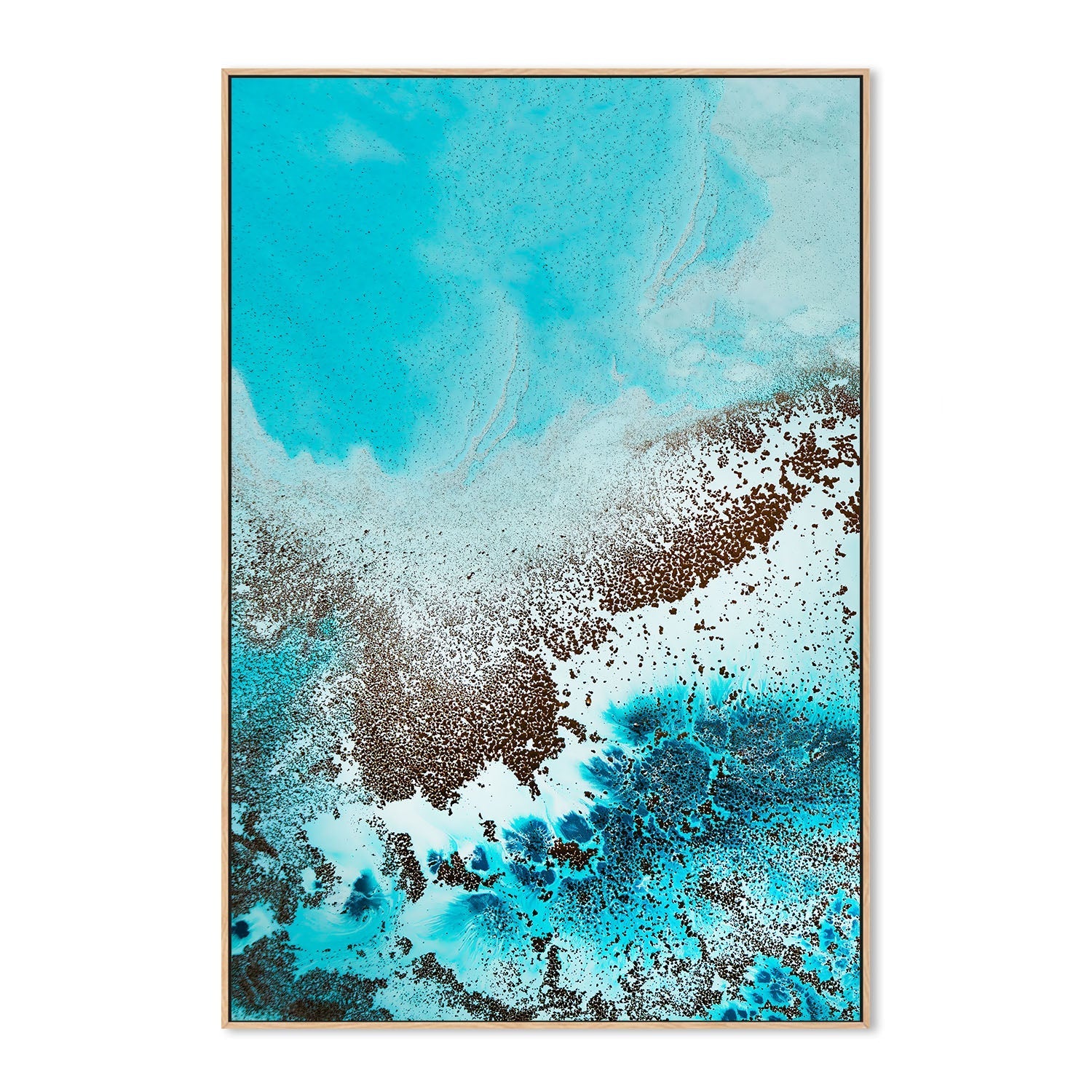 wall-art-print-canvas-poster-framed-Sea Life, Style A , By Petra Meikle-4