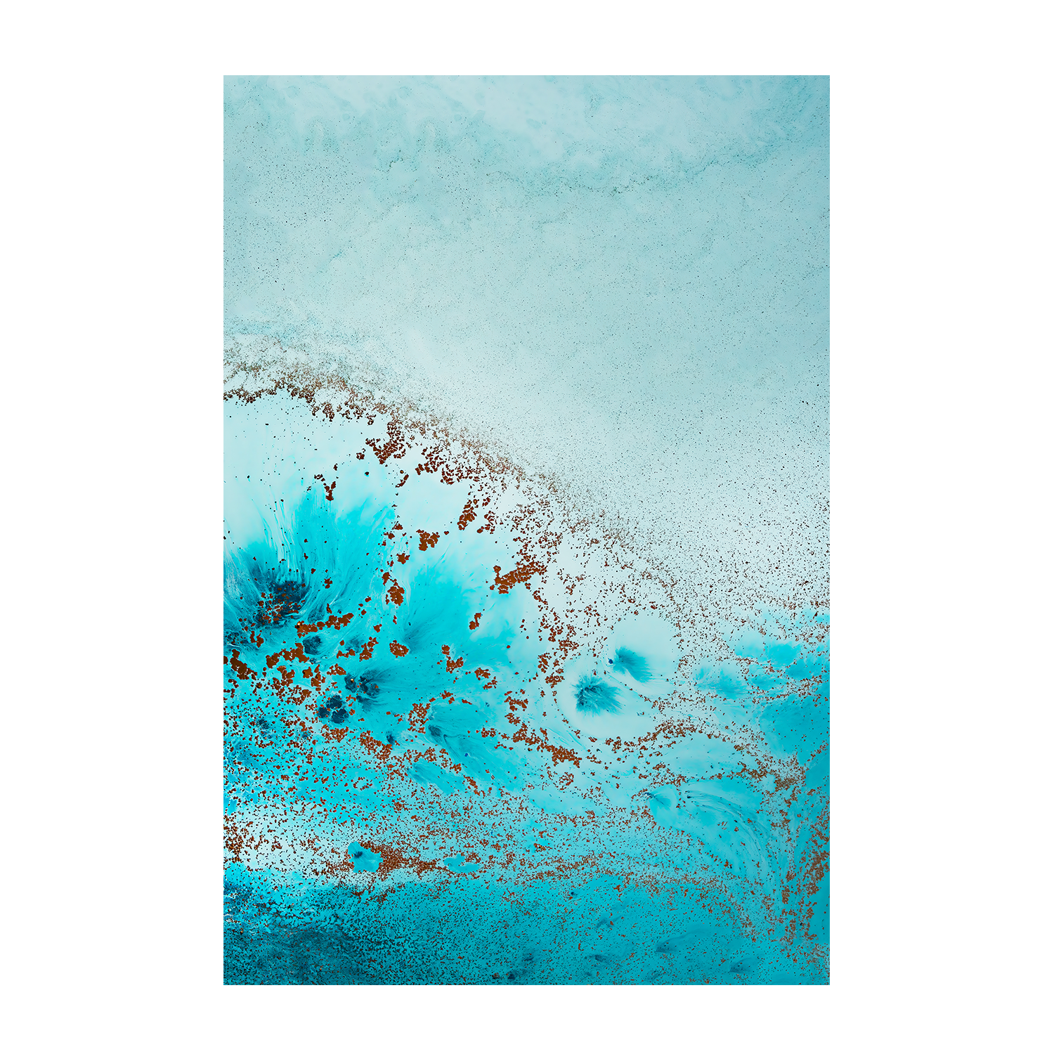 wall-art-print-canvas-poster-framed-Sea Life, Style B , By Petra Meikle-1