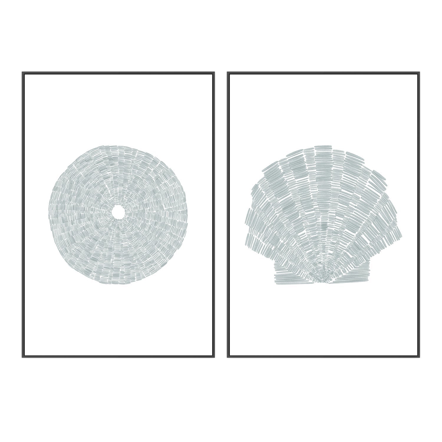 wall-art-print-canvas-poster-framed-Sea Urchin-Deconstrated Scallop Shell , Set Of 2, By Jetty Home , By Jetty Home-3