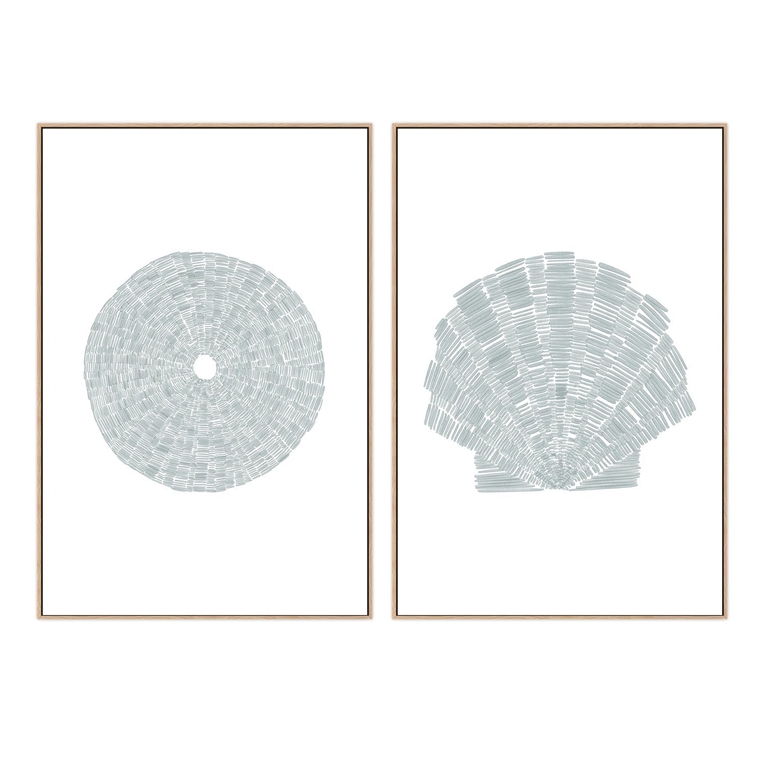 wall-art-print-canvas-poster-framed-Sea Urchin-Deconstrated Scallop Shell , Set Of 2, By Jetty Home , By Jetty Home-4