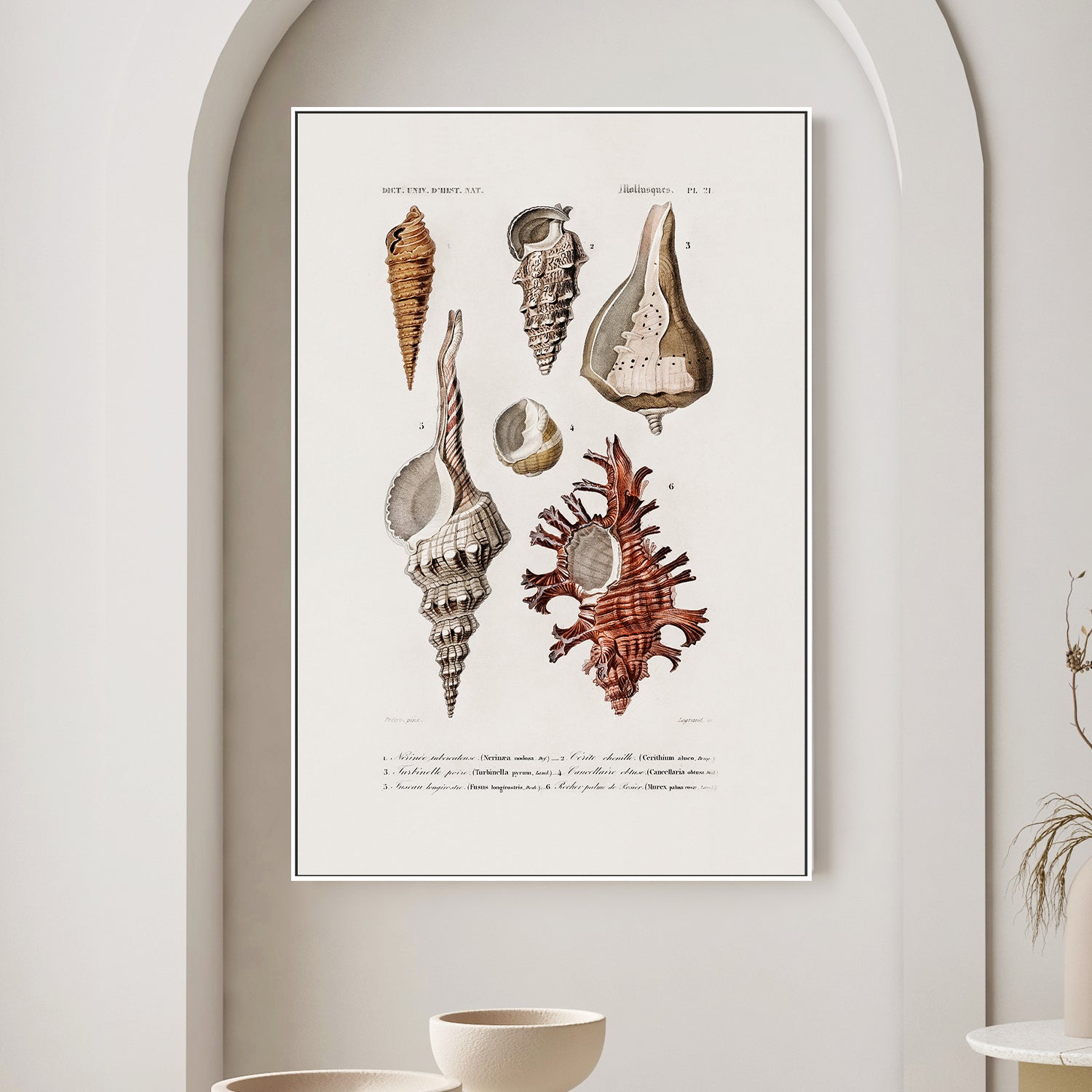 wall-art-print-canvas-poster-framed-Sealife-2