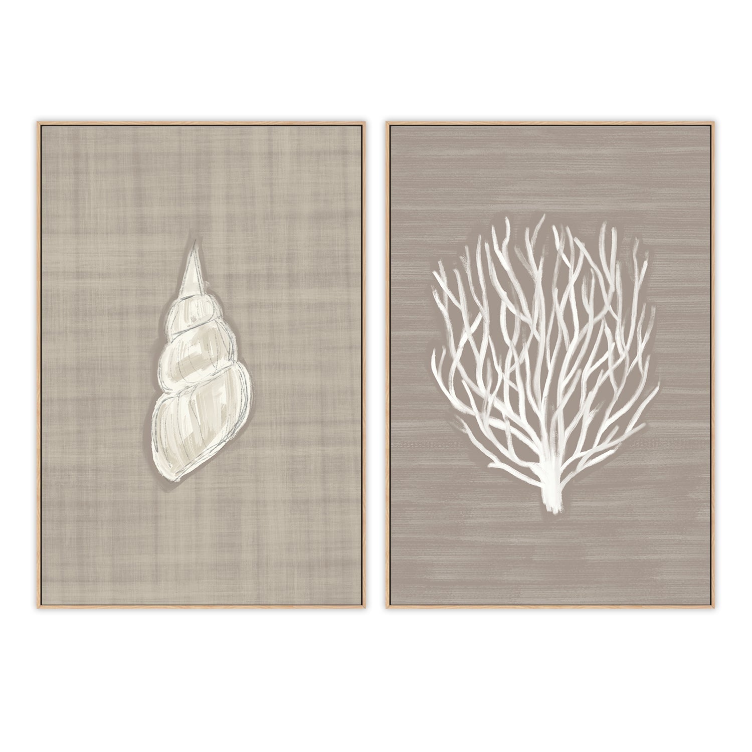 wall-art-print-canvas-poster-framed-Seashell - Coral Branch , Set Of 2, By Jetty Home , By Jetty Home-4
