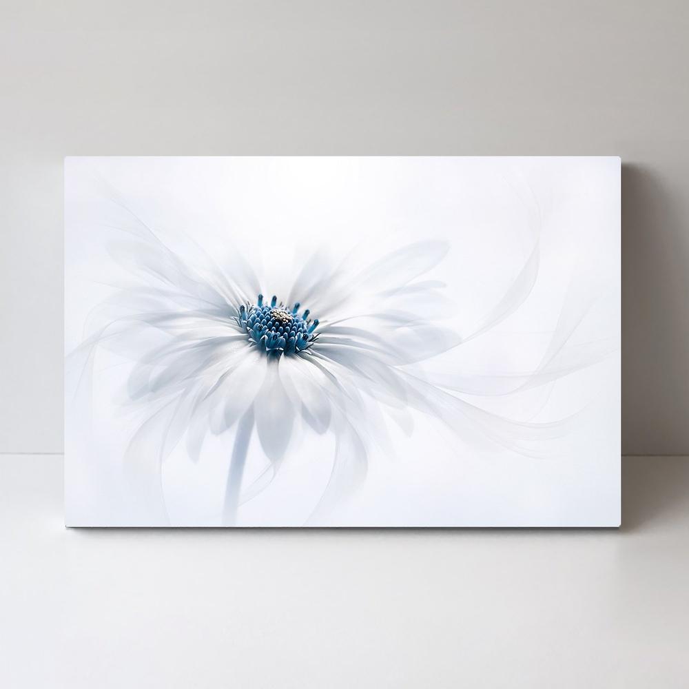 wall-art-print-canvas-poster-framed-Serenity, By Jacky Parker-by-Plus X Studio-Gioia Wall Art
