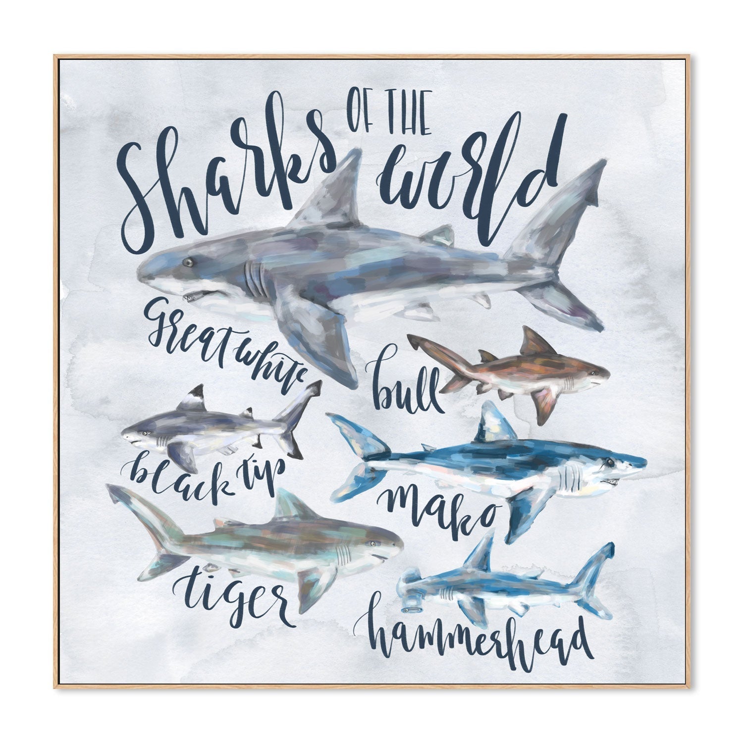wall-art-print-canvas-poster-framed-Sharks Of The world , By Emily Wood-4