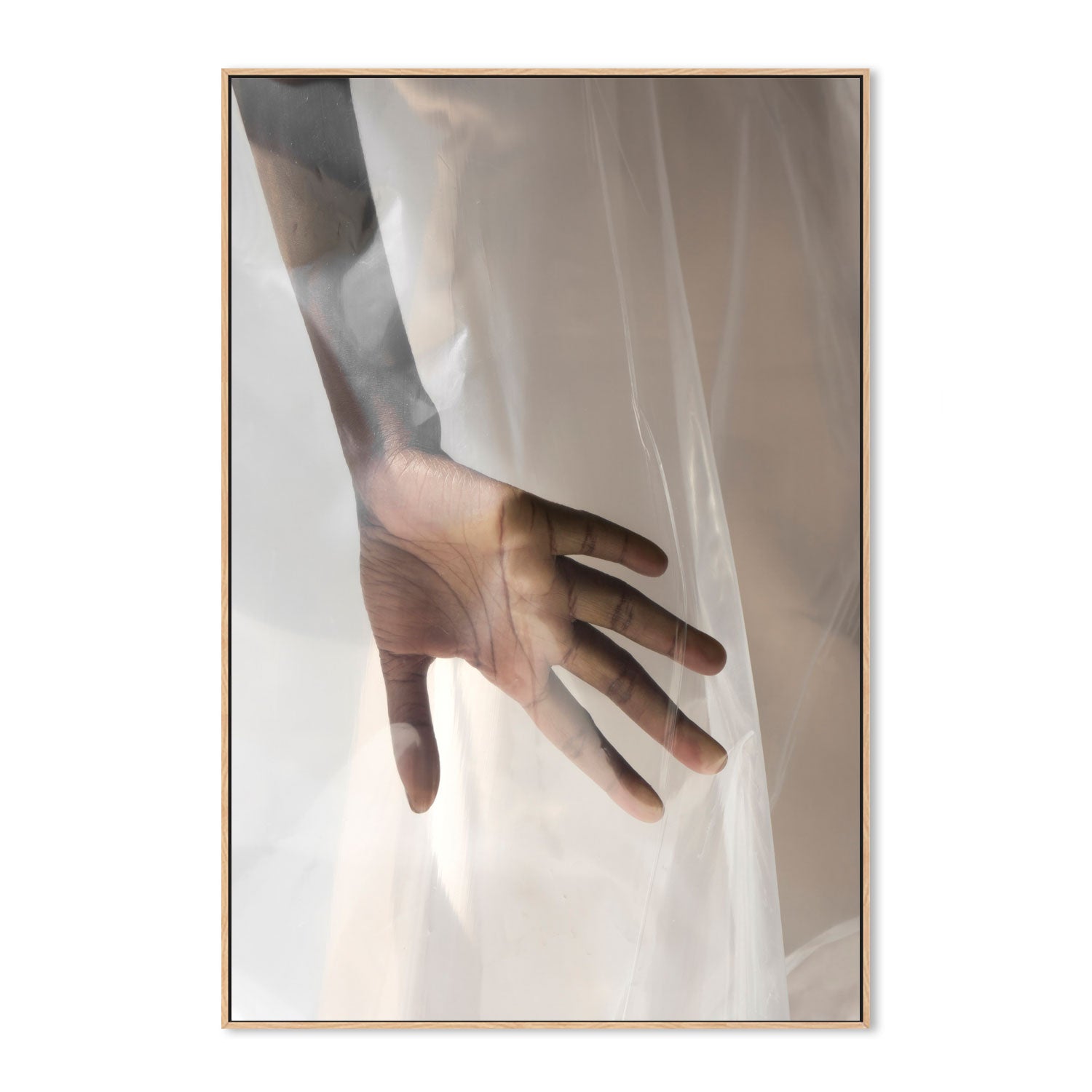 wall-art-print-canvas-poster-framed-Sheer Touch, By Minorstep-GIOIA-WALL-ART