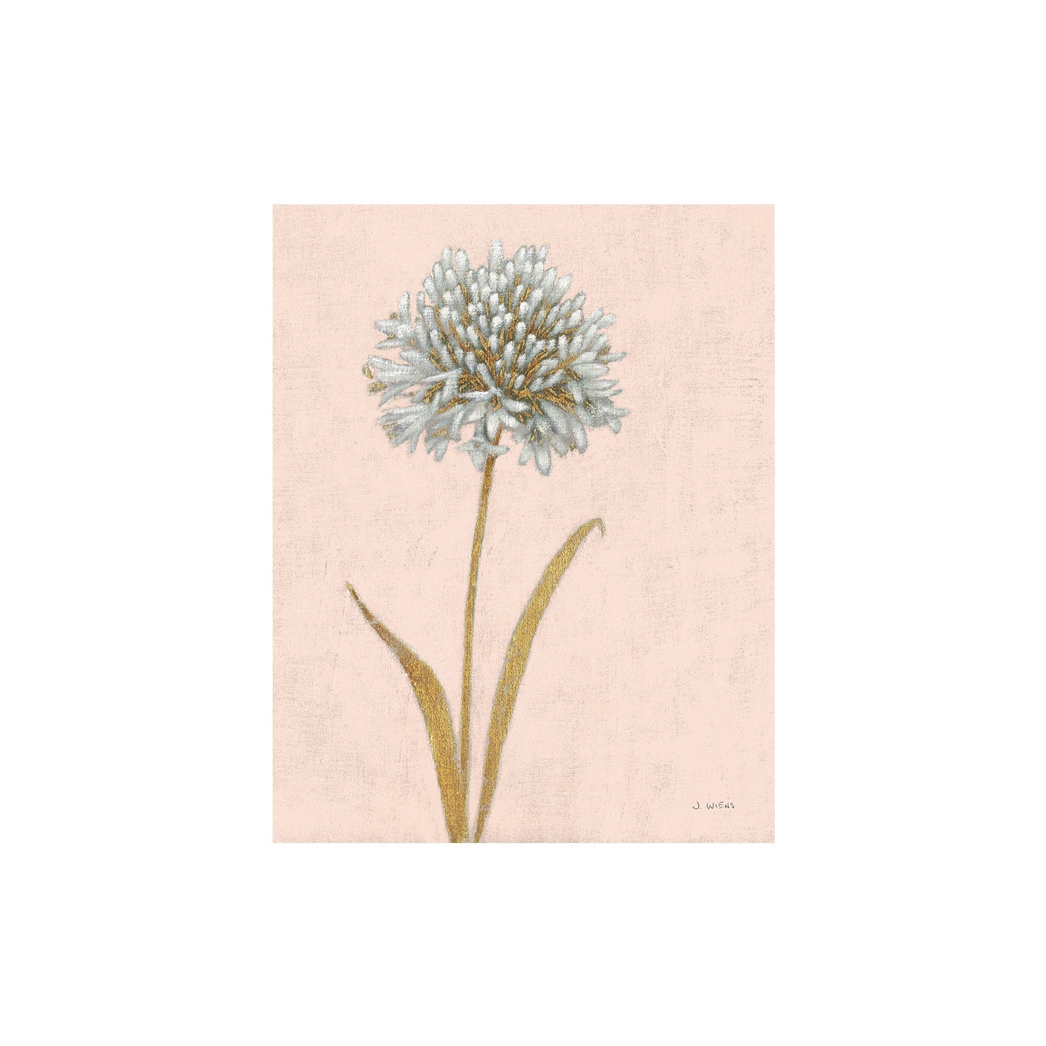 wall-art-print-canvas-poster-framed-Shimmering Summer I Blush Crop , By James Wiens-1