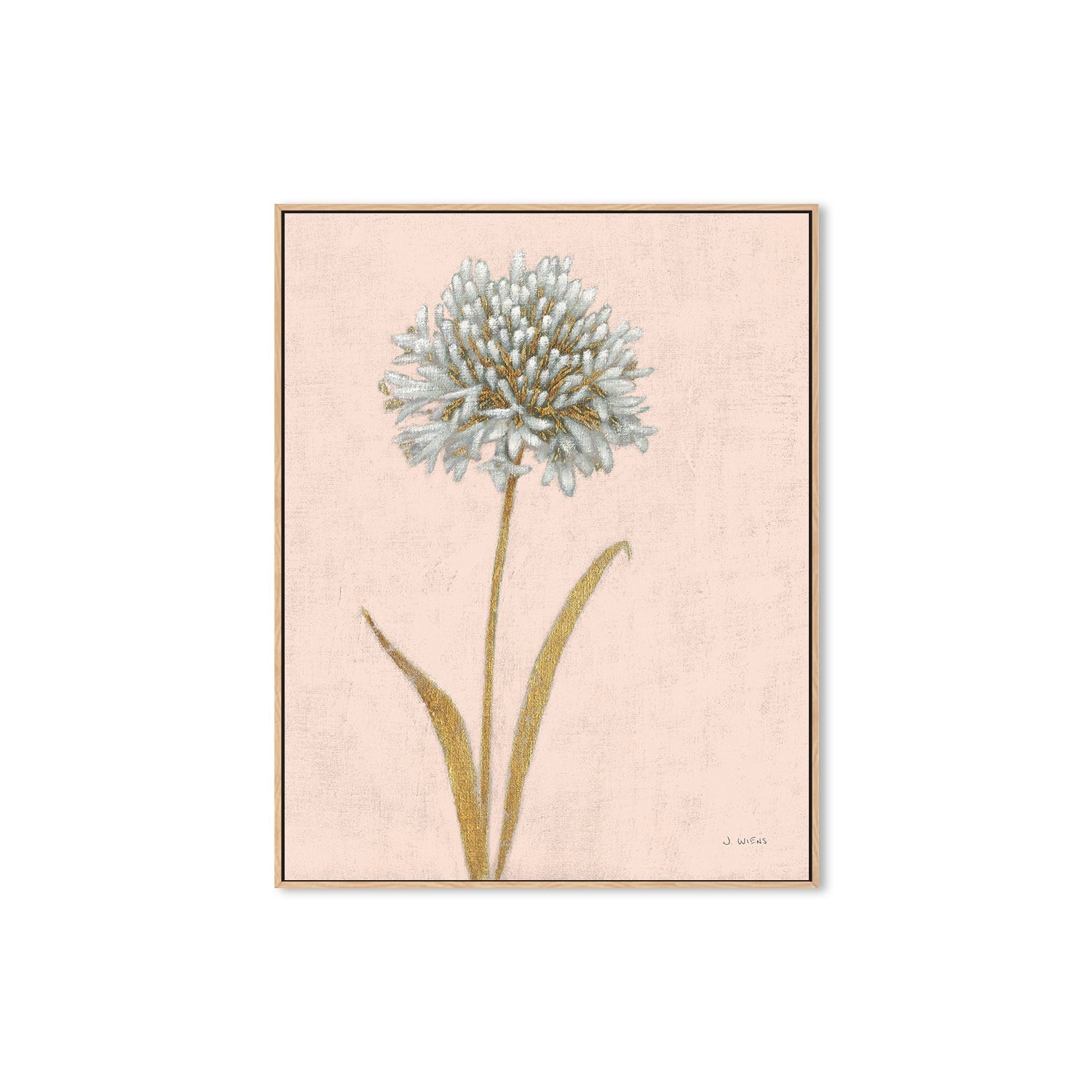 wall-art-print-canvas-poster-framed-Shimmering Summer I Blush Crop , By James Wiens-4