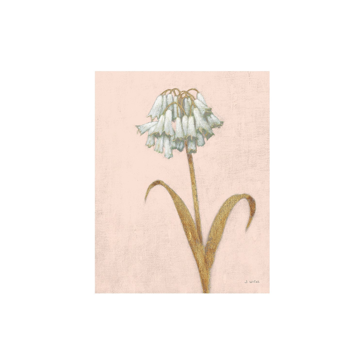 wall-art-print-canvas-poster-framed-Shimmering Summer II Blush Crop , By James Wiens-1