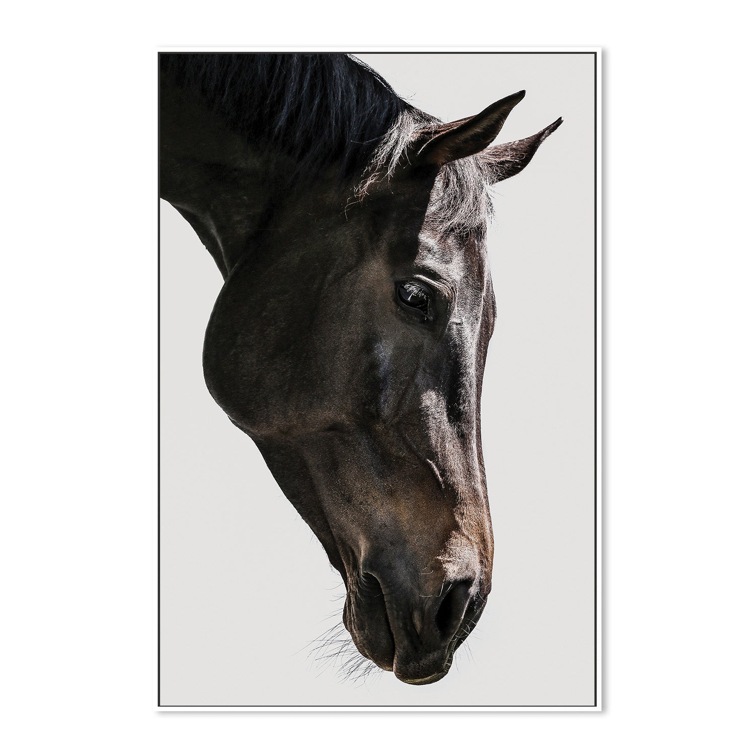 wall-art-print-canvas-poster-framed-Shot by Clint_2518354-5