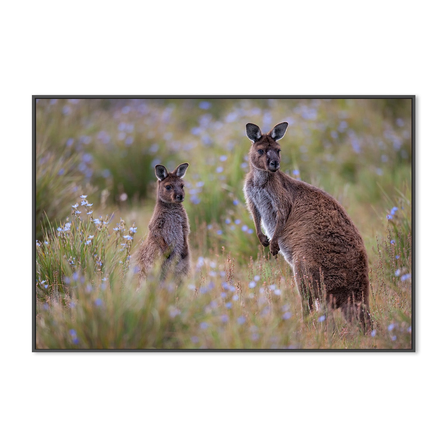 wall-art-print-canvas-poster-framed-Shot by Clint_259276-3