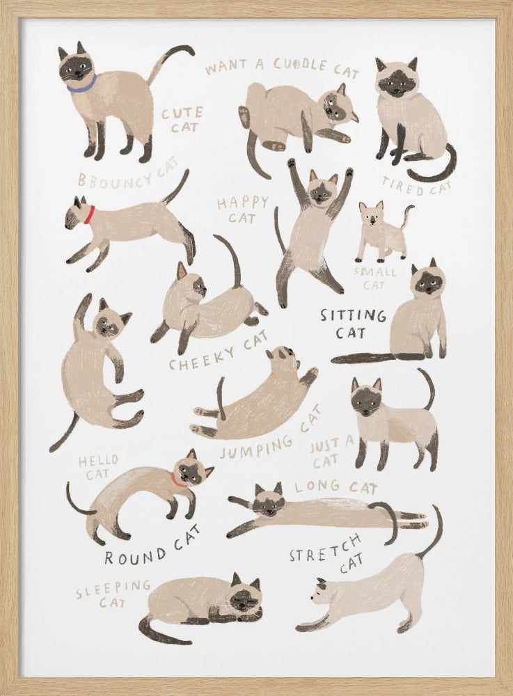 wall-art-print-canvas-poster-framed-Siamese Cat Print , By Hanna Melin-4