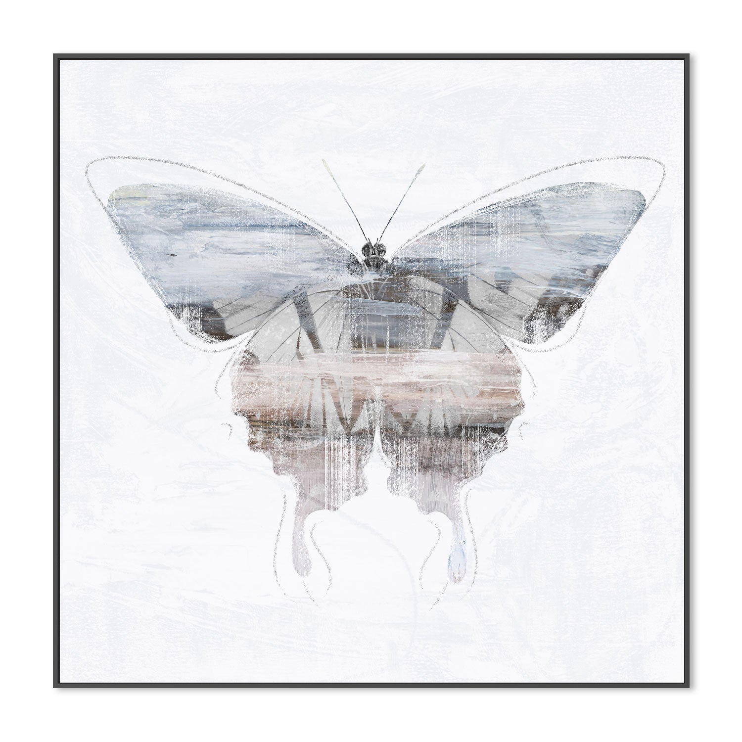wall-art-print-canvas-poster-framed-Silver Butterfly, Style A , By Nina Blue-3