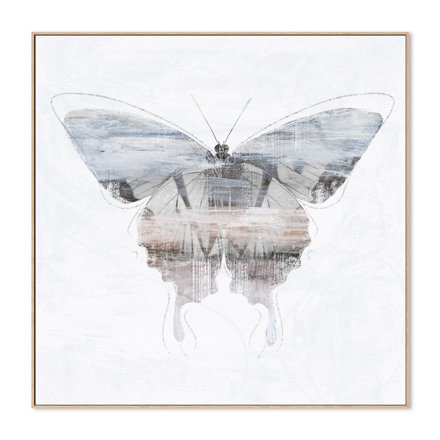 wall-art-print-canvas-poster-framed-Silver Butterfly, Style A , By Nina Blue-4