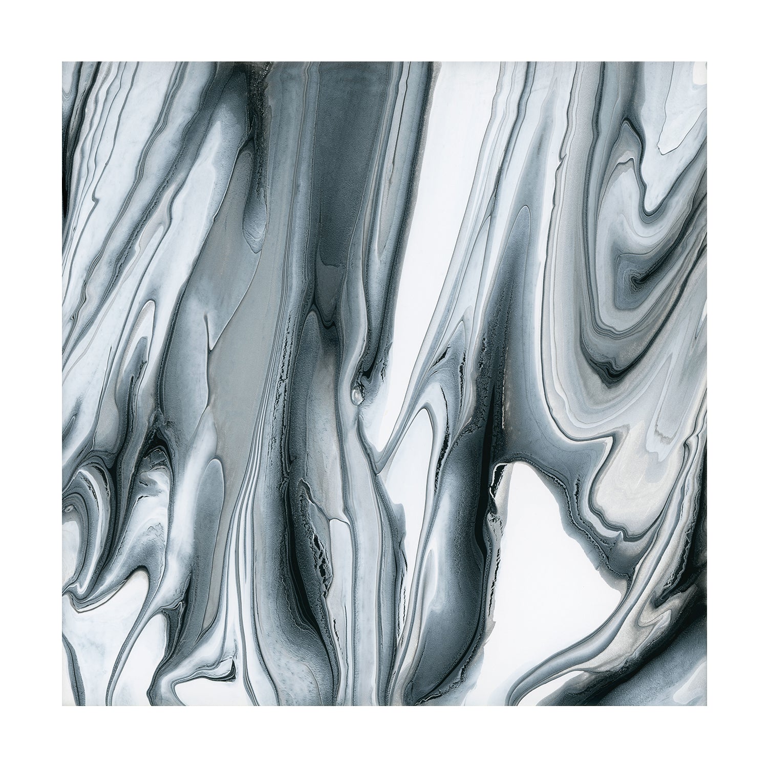 wall-art-print-canvas-poster-framed-Silver , By Cathy Anderson , By Cathy Anderson-1