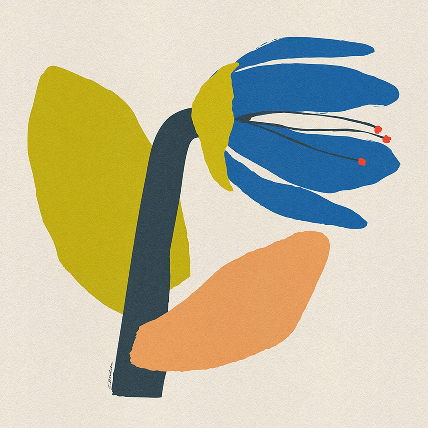 wall-art-print-canvas-poster-framed-Single Blue Flower With Cream Leaf-1