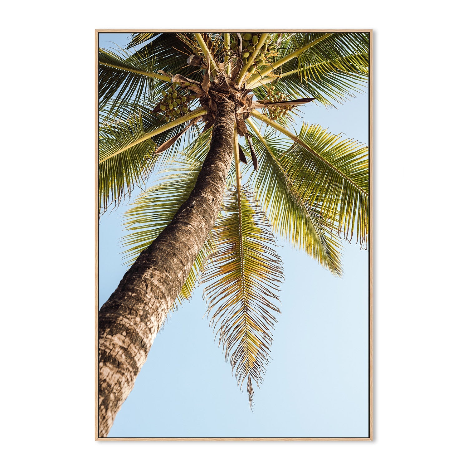 wall-art-print-canvas-poster-framed-Single Palm Tree-4