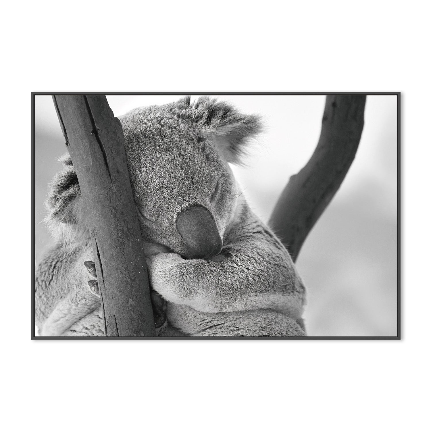 wall-art-print-canvas-poster-framed-Sleepy Humphrey , By Belinda Gerace-3