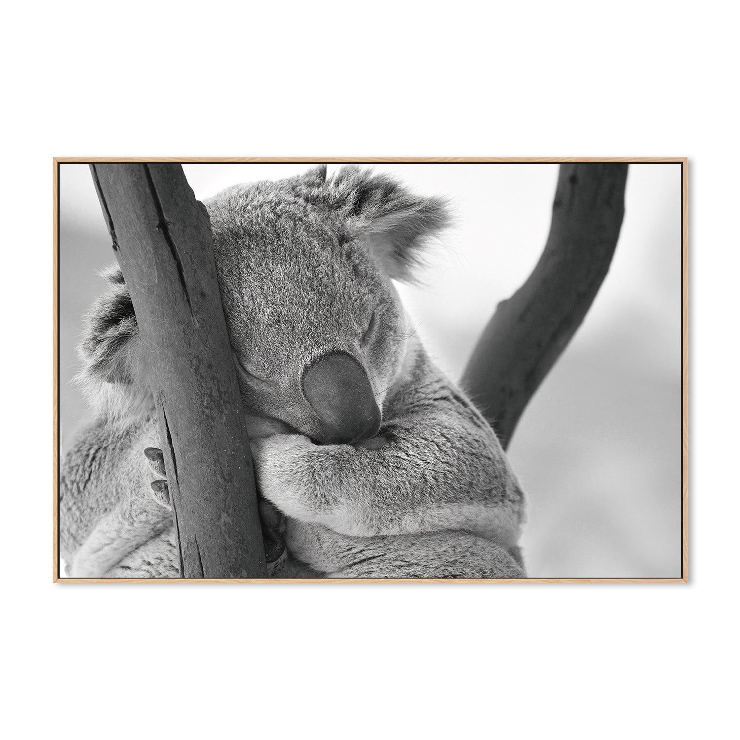 wall-art-print-canvas-poster-framed-Sleepy Humphrey , By Belinda Gerace-4
