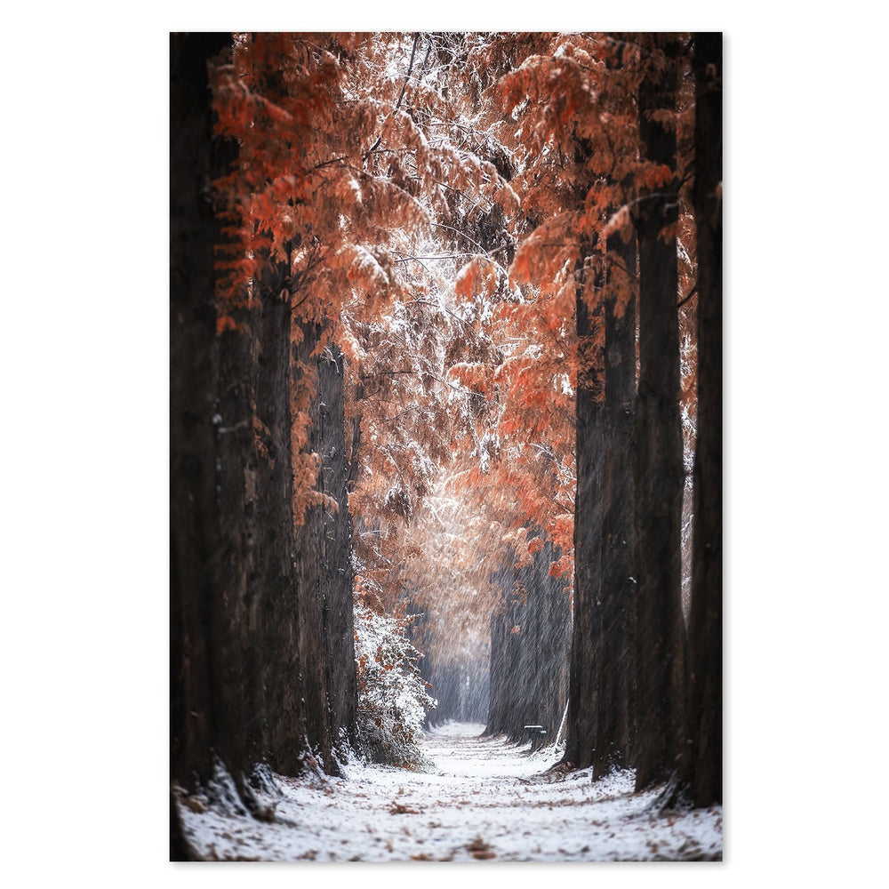 wall-art-print-canvas-poster-framed-Snowy Day, By Tiger Seo-by-Plus X Studio-Gioia Wall Art