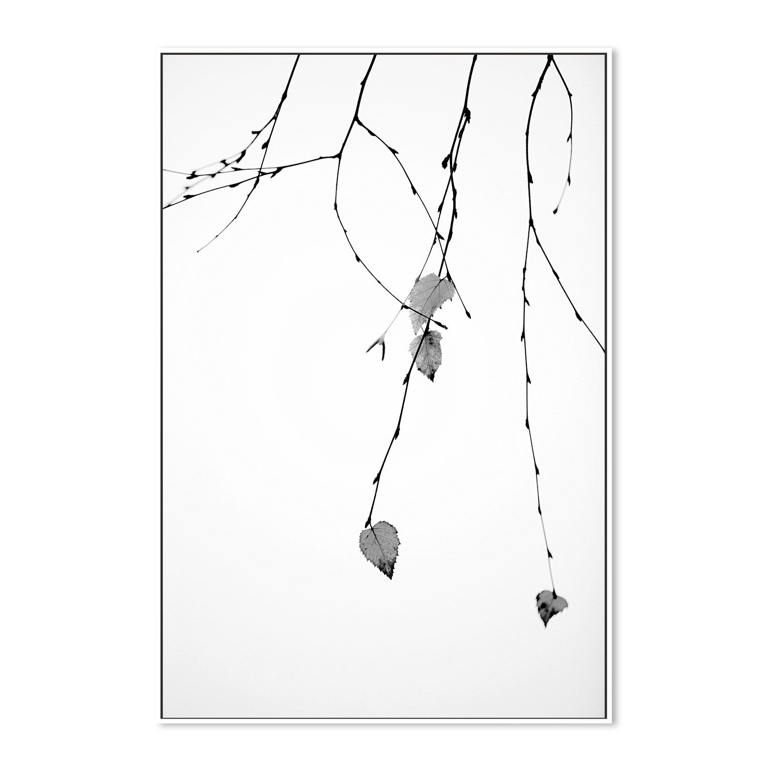 wall-art-print-canvas-poster-framed-Solo-5