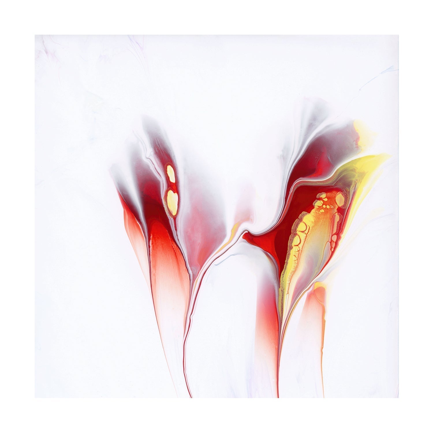wall-art-print-canvas-poster-framed-Spark , Style A, By Cathy Anderson , By Cathy Anderson-1