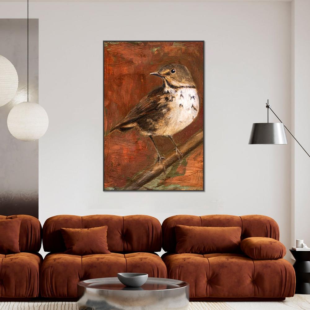 wall-art-print-canvas-poster-framed-Speckled Thrush Perched-2