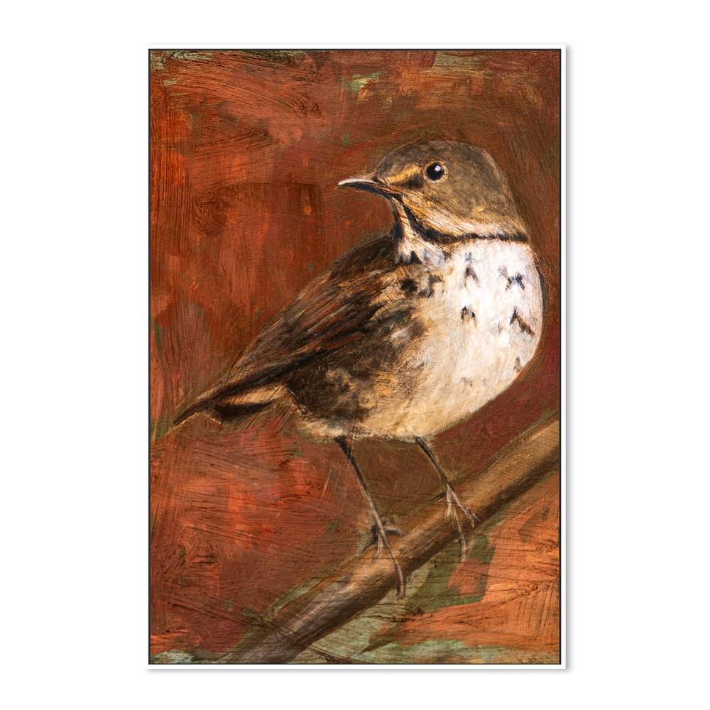 wall-art-print-canvas-poster-framed-Speckled Thrush Perched-5