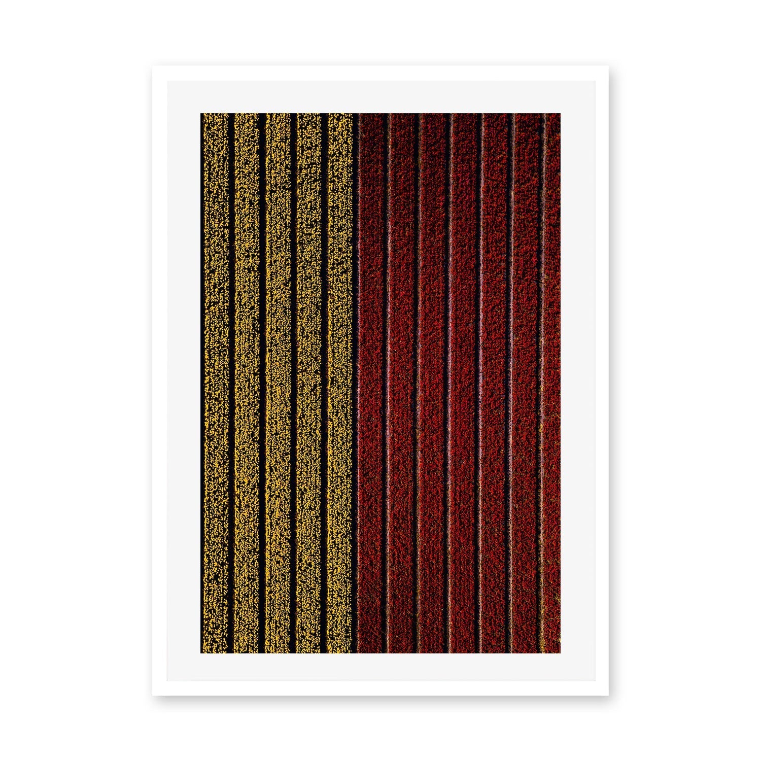 wall-art-print-canvas-poster-framed-Split , By Max Lissendon-GIOIA-WALL-ART