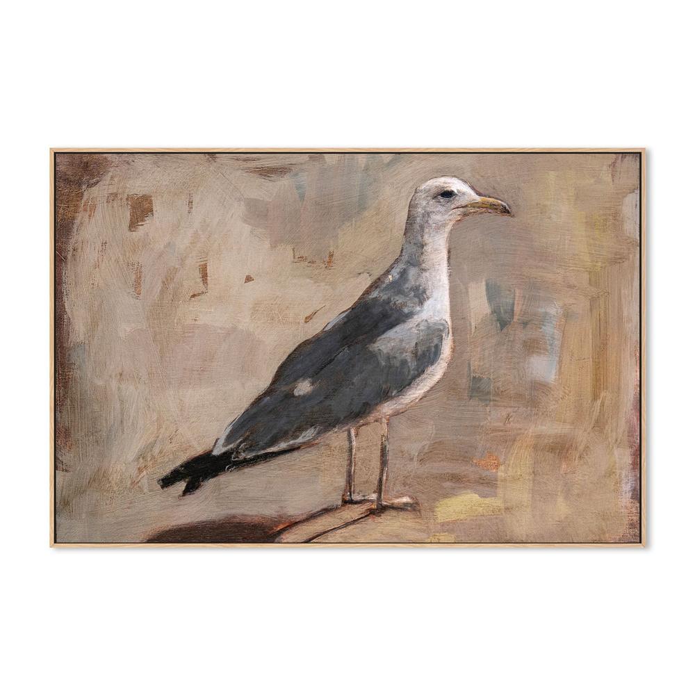 wall-art-print-canvas-poster-framed-Standing Seagull Portrait-4