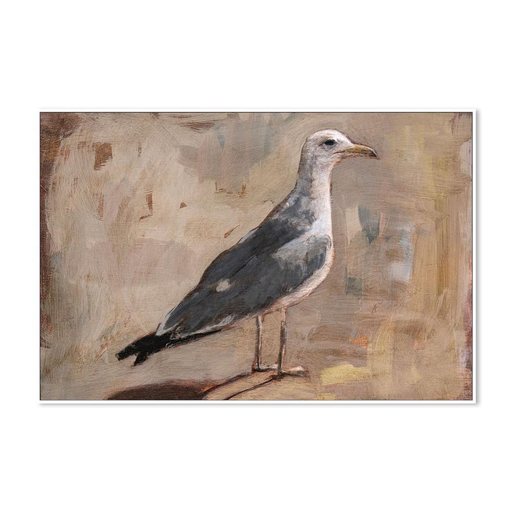 wall-art-print-canvas-poster-framed-Standing Seagull Portrait-5