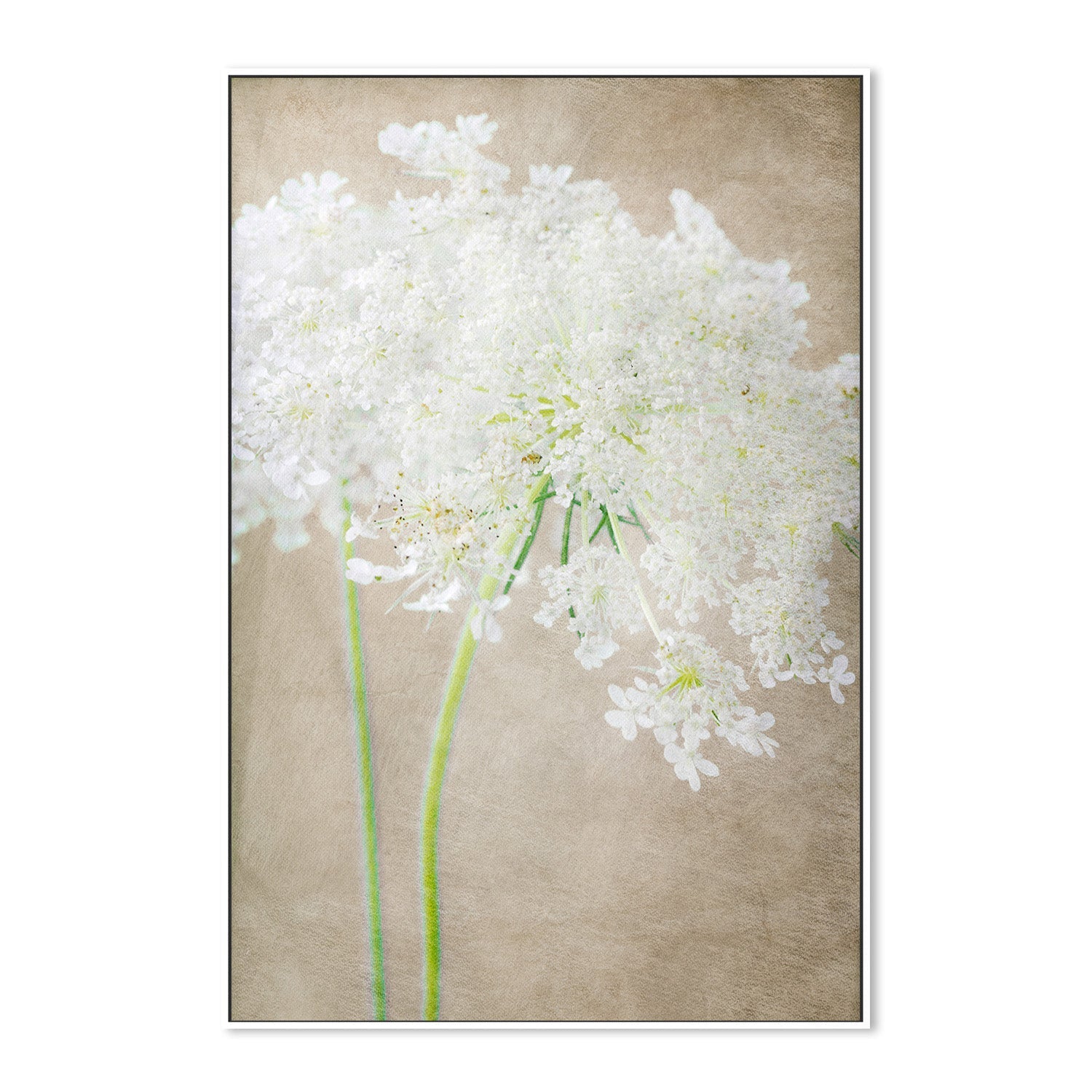 wall-art-print-canvas-poster-framed-Starlight , By Asia Jensen-5
