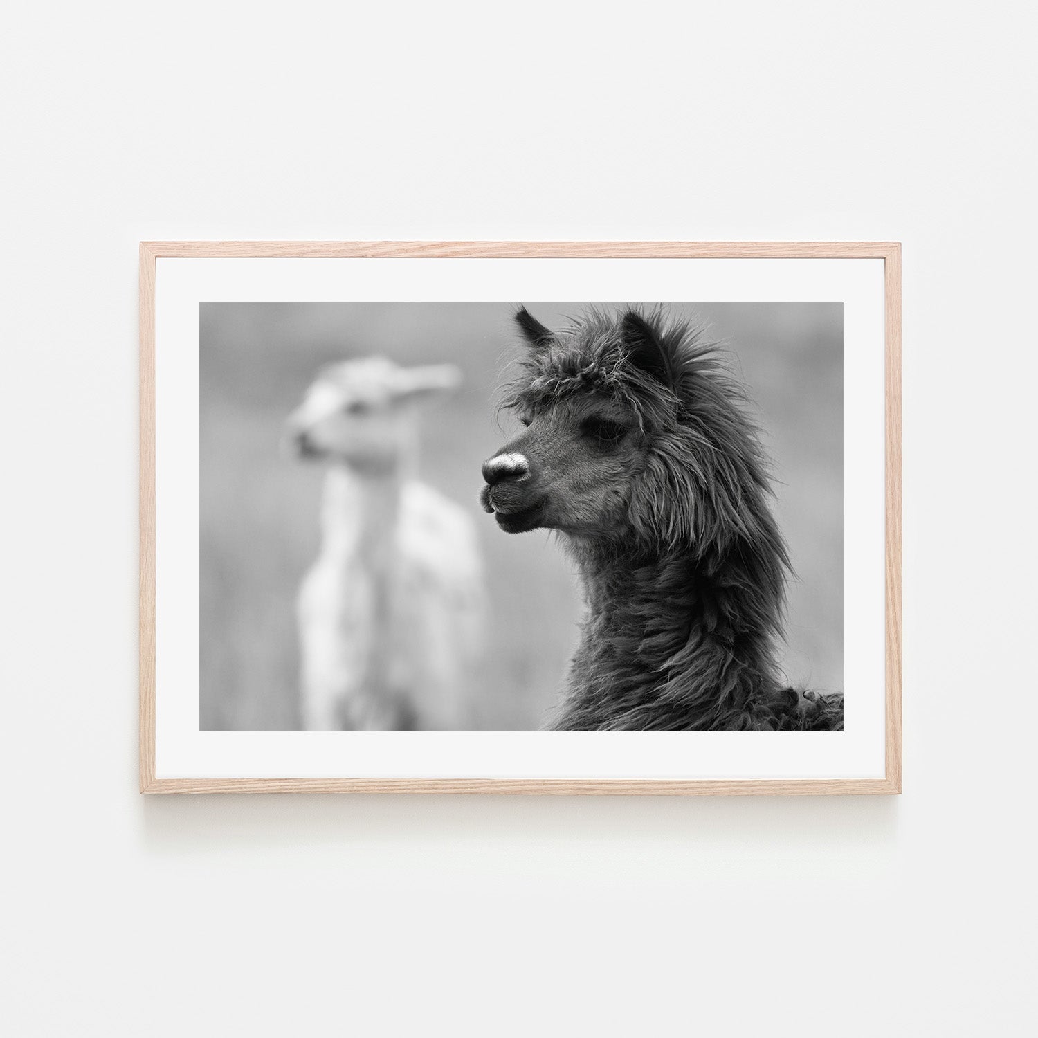 wall-art-print-canvas-poster-framed-Stephen Black And White , By Belinda Gerace-6