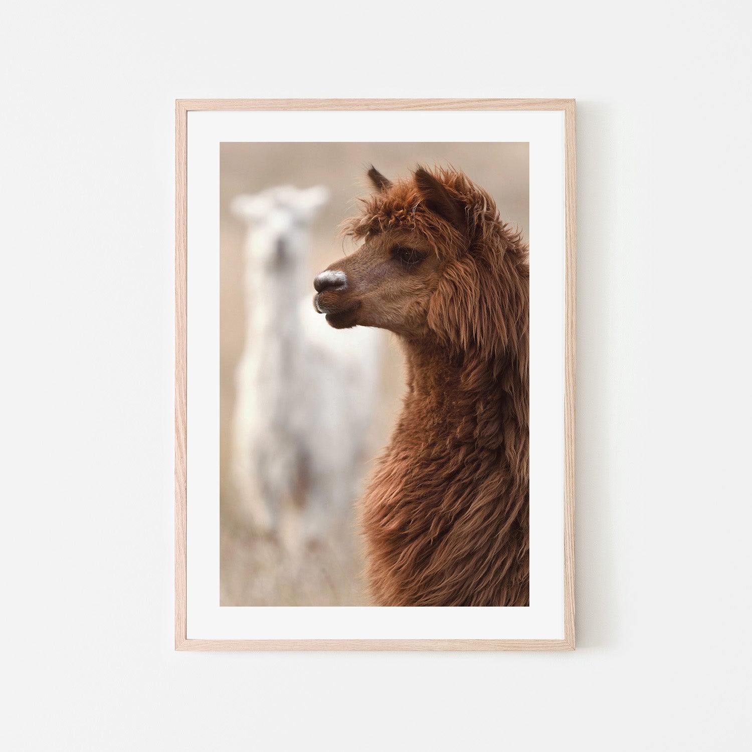 wall-art-print-canvas-poster-framed-Stephen, Style A , By Belinda Gerace-6