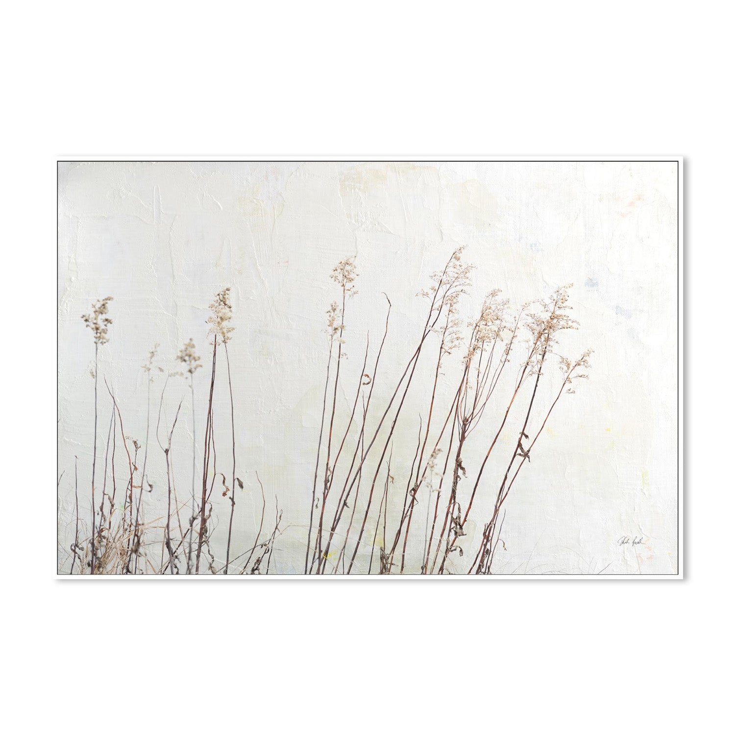 wall-art-print-canvas-poster-framed-Still Wild, Style C-5