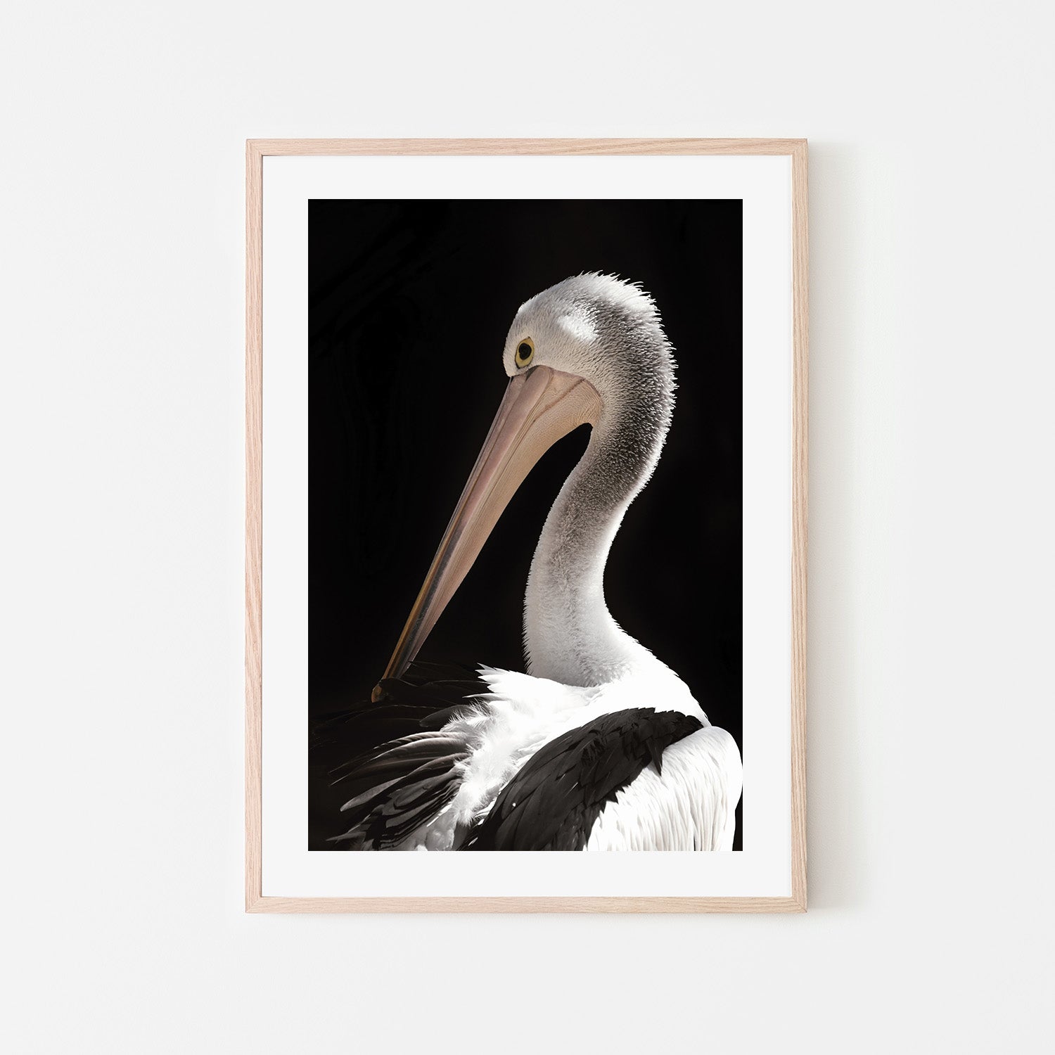 wall-art-print-canvas-poster-framed-Storm Boy Pelican , By Belinda Gerace-6
