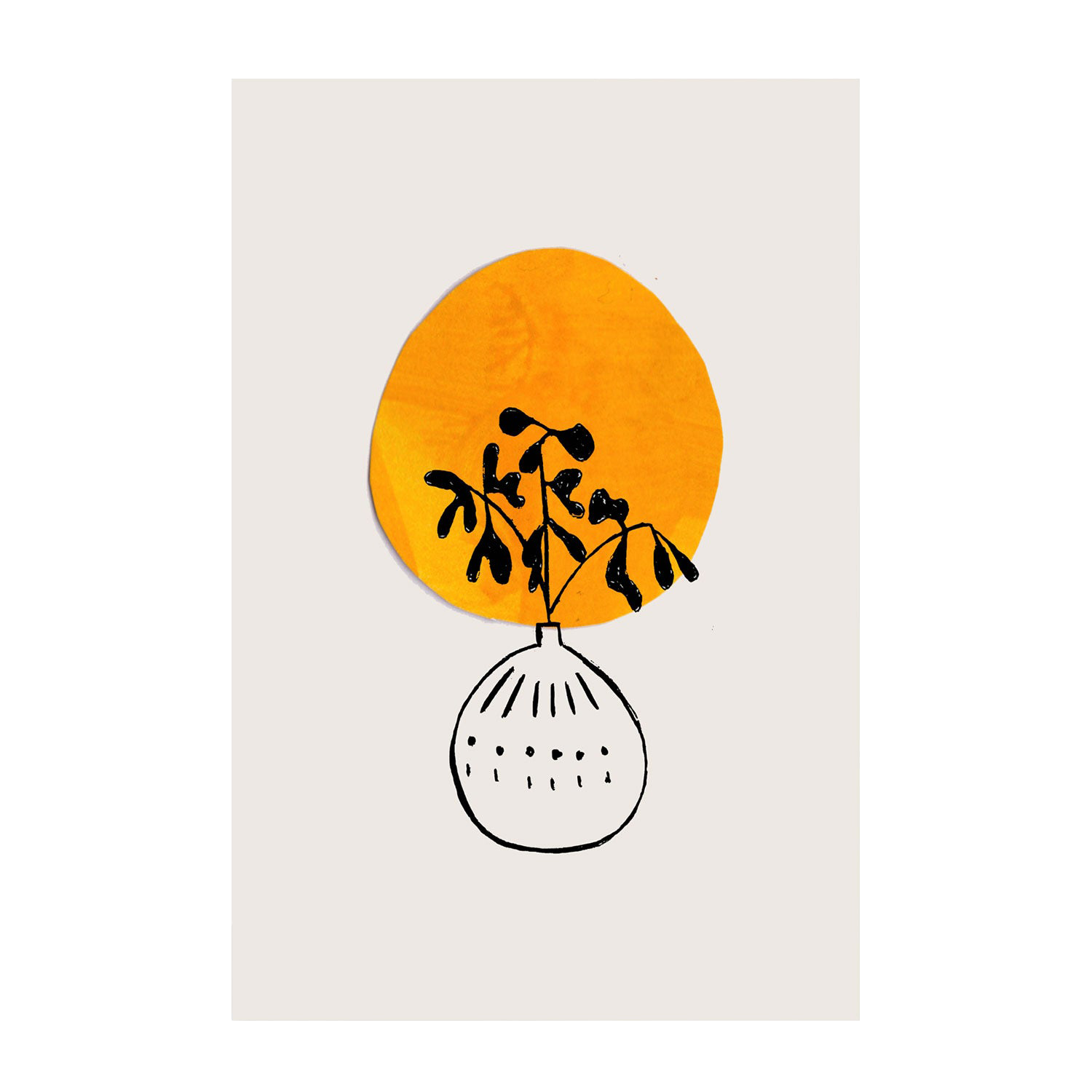 Sun Plant